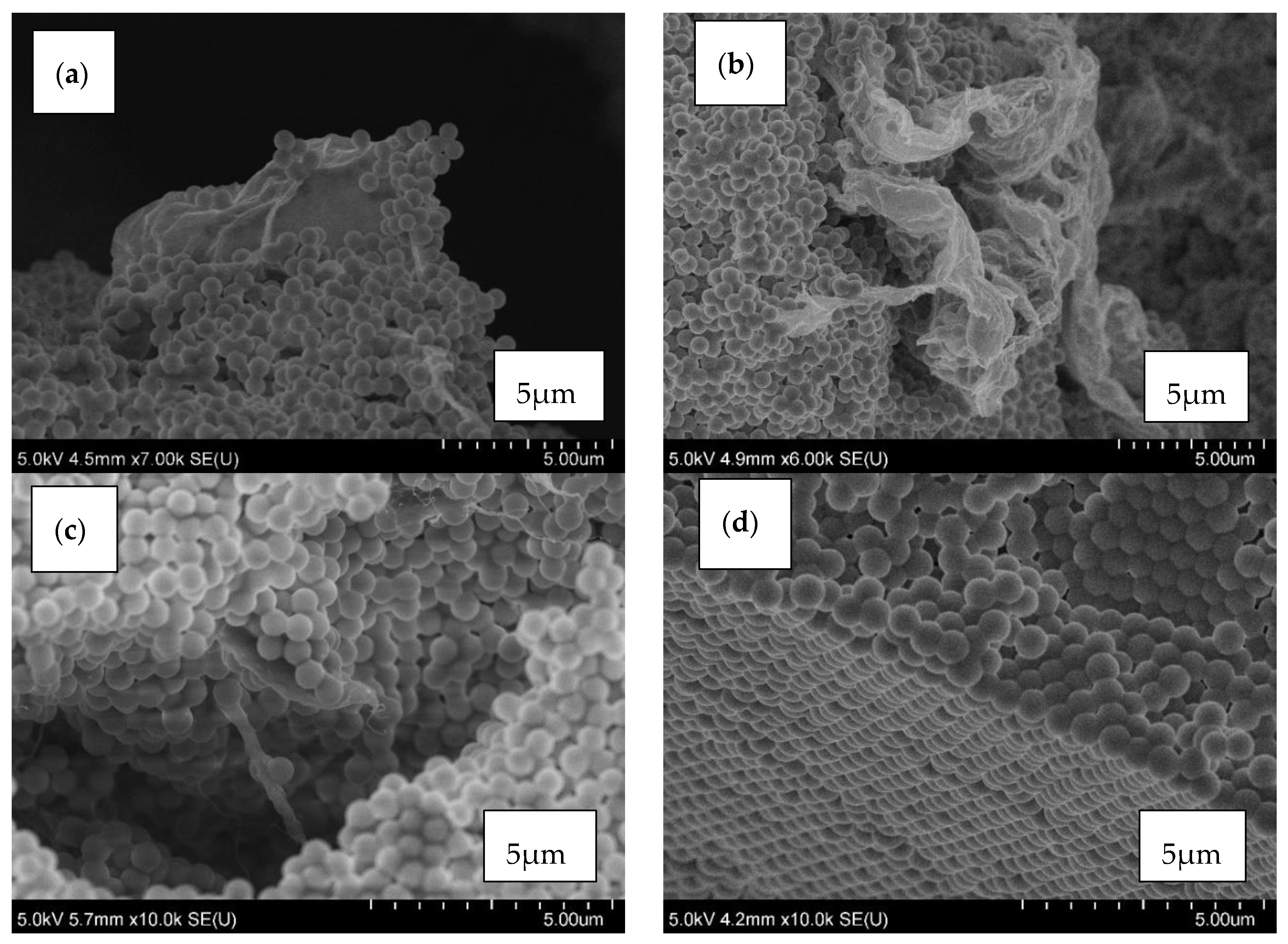 Materials 13 03870 g005