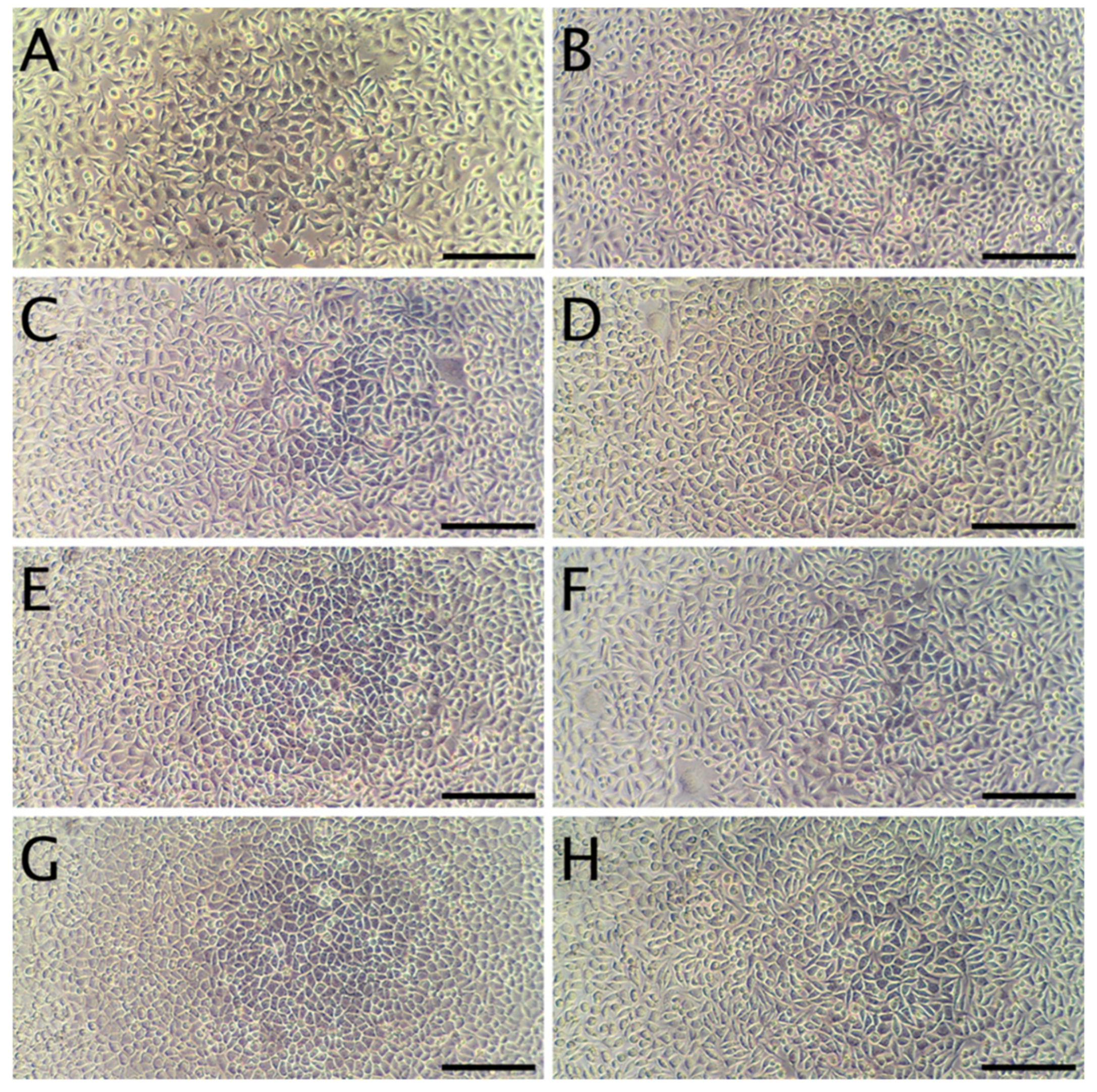 Materials 13 03876 g004 Materials 13 03876 g004