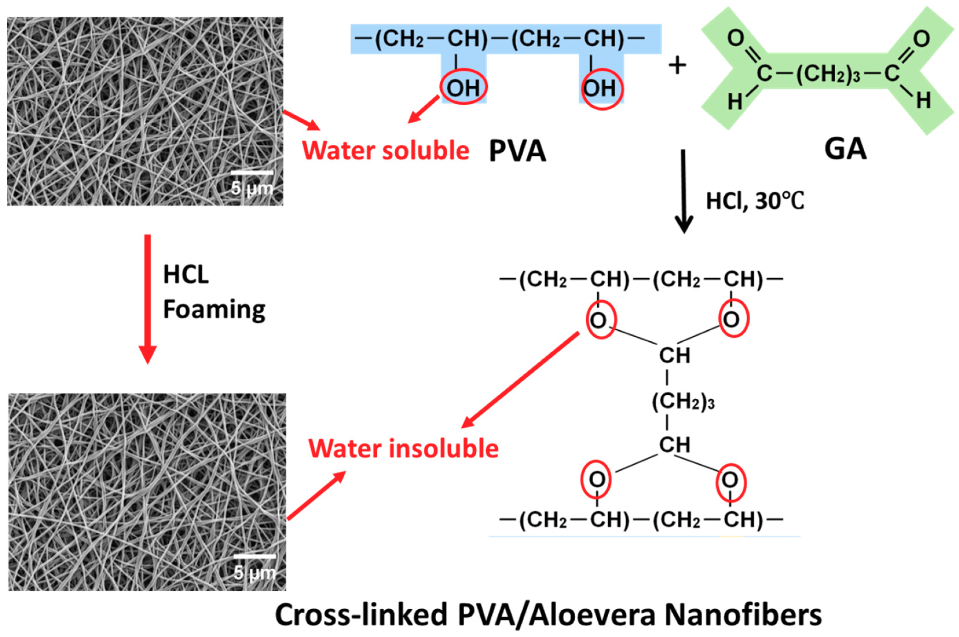 Materials 13 03884 g002 Materials 13 03884 g002