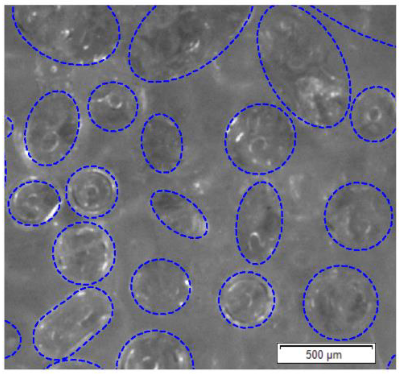 Materials 13 03889 g004 Materials 13 03889 g004