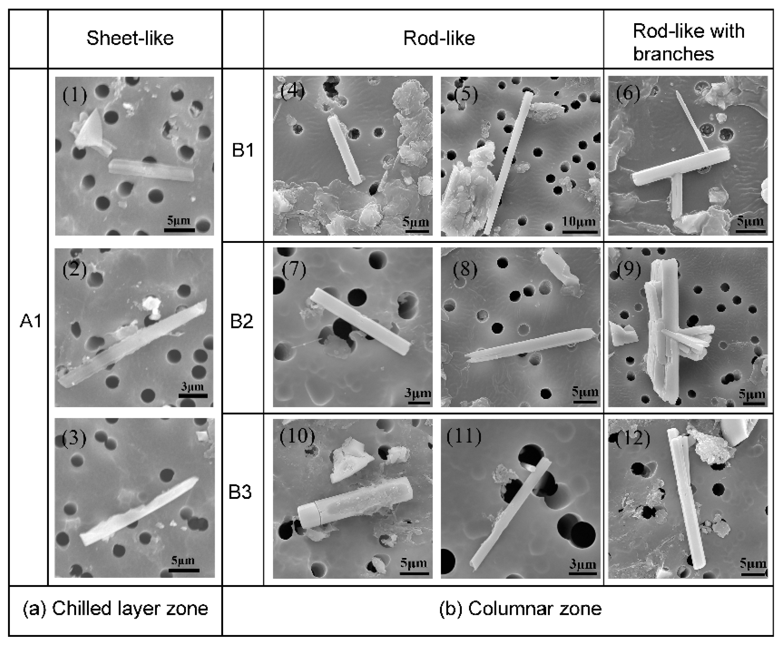 Materials 13 03891 g005 Materials 13 03891 g005