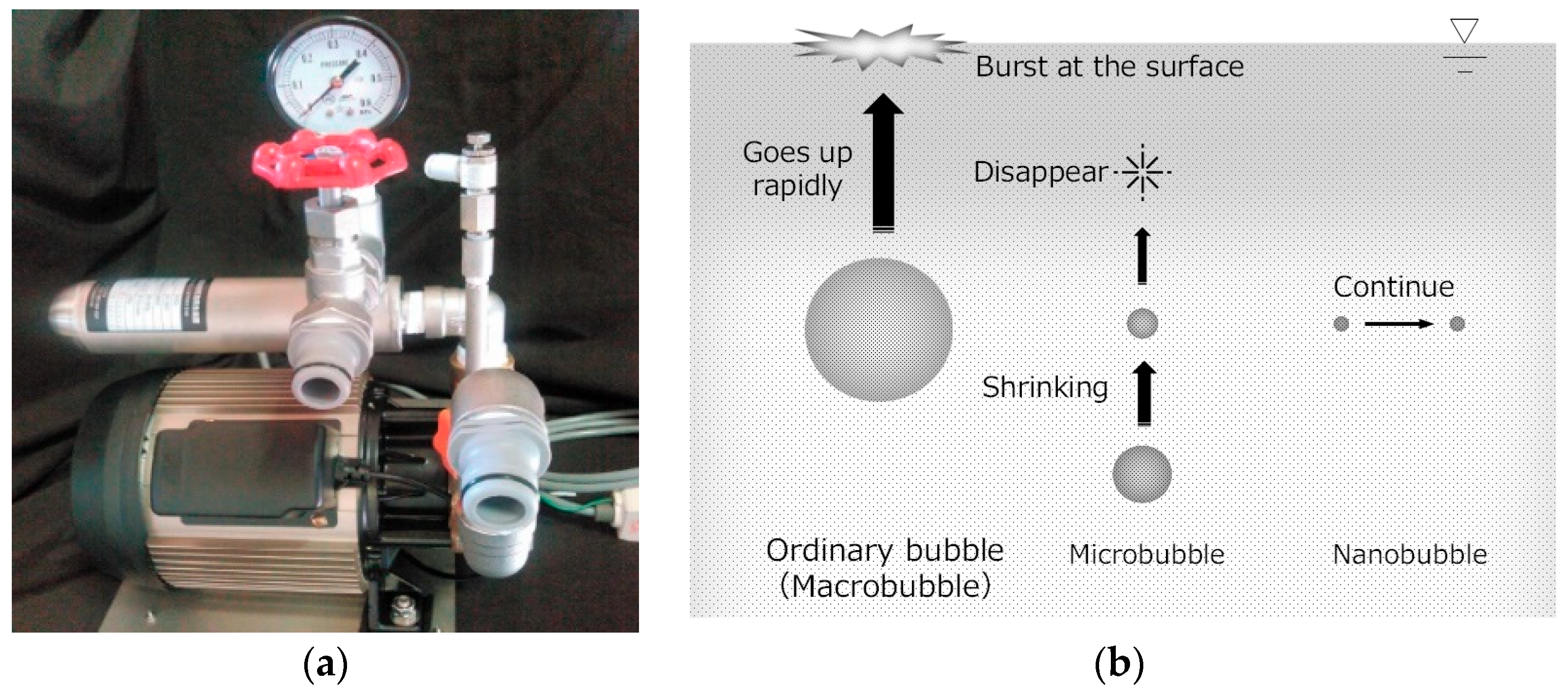 Materials 13 03897 g001 Materials 13 03897 g001