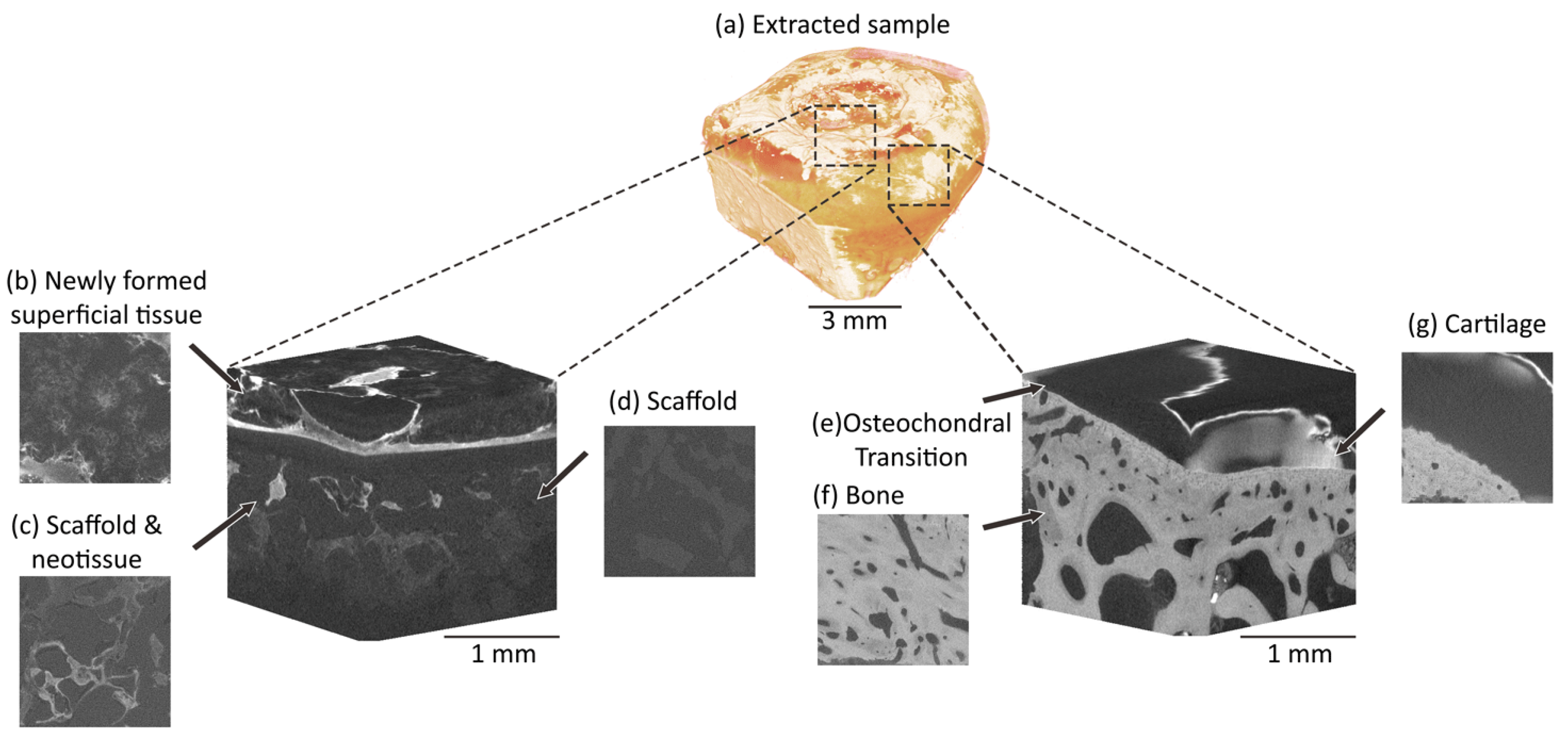 Materials 13 03911 g002 Materials 13 03911 g002