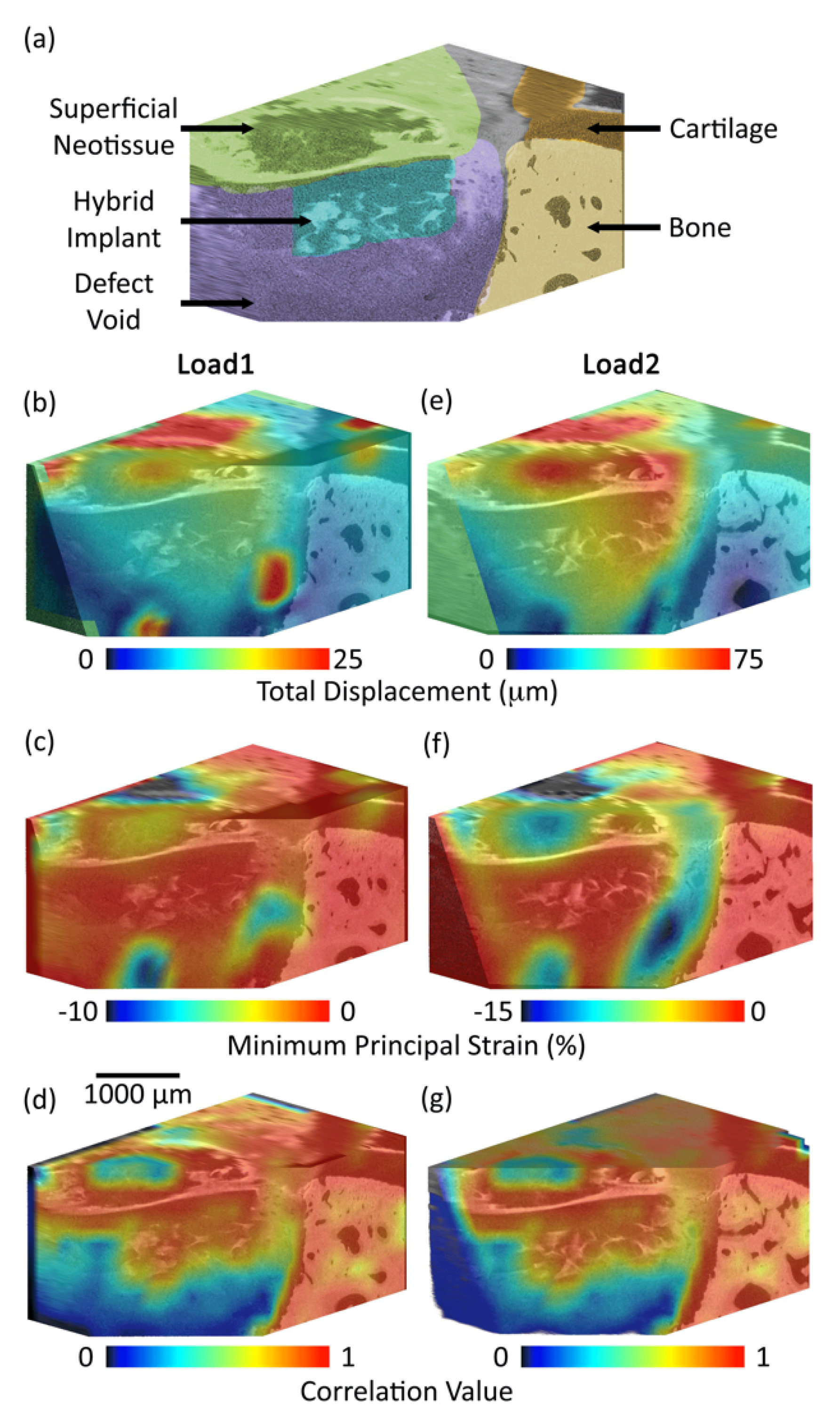 Materials 13 03911 g004 Materials 13 03911 g004