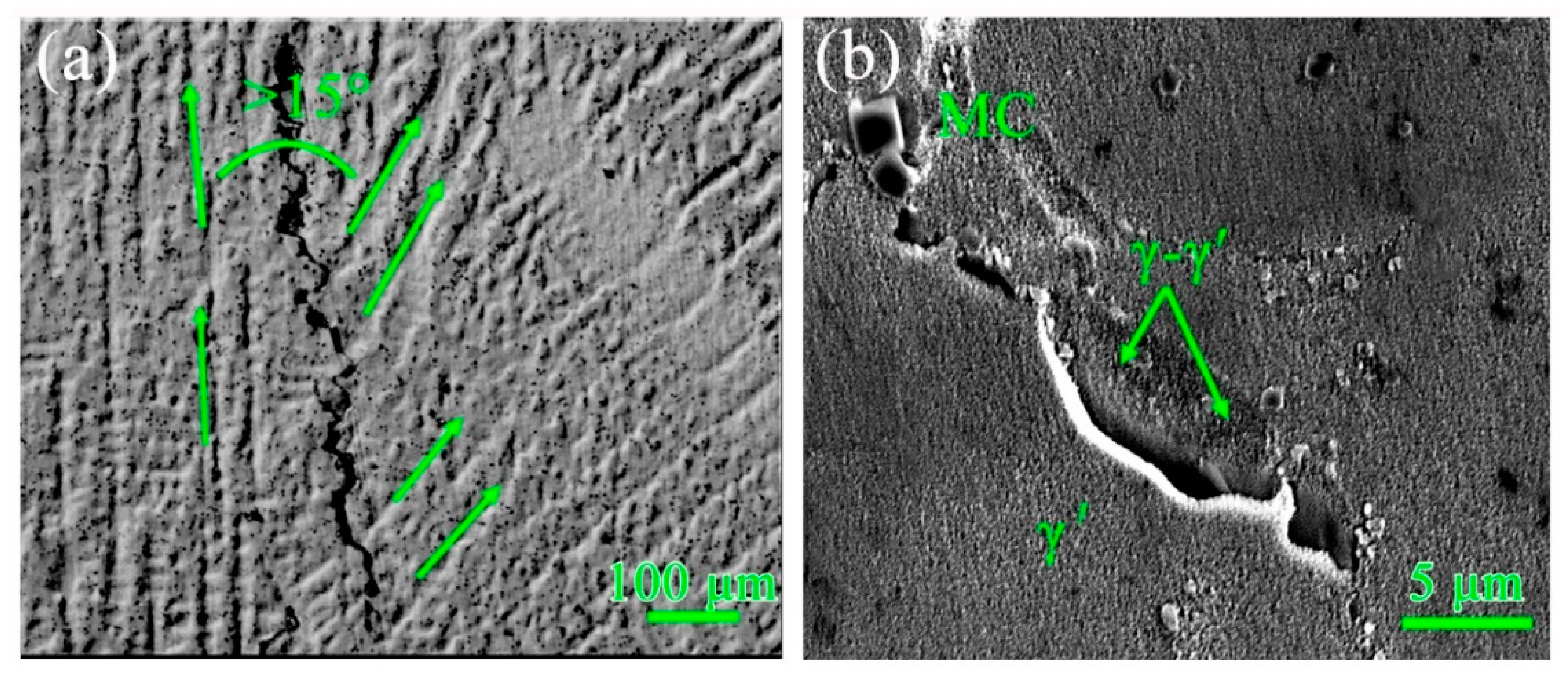 Materials 13 03924 g013 Materials 13 03924 g013