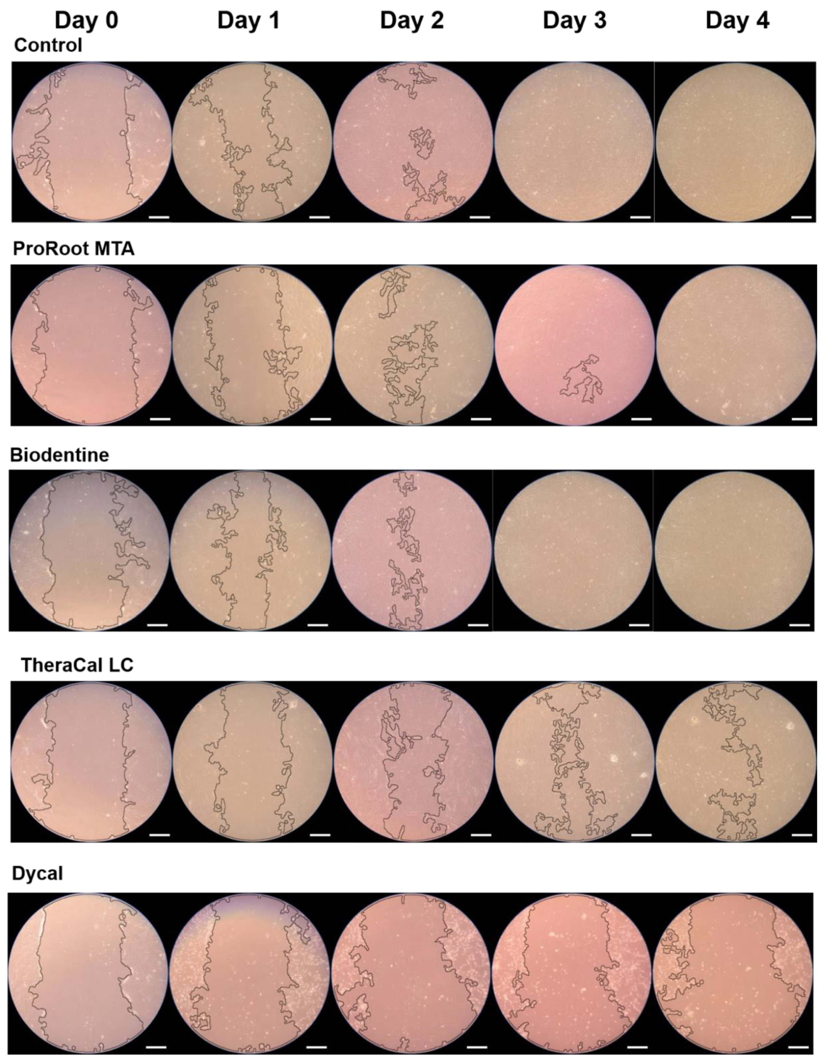Materials 13 03925 g003