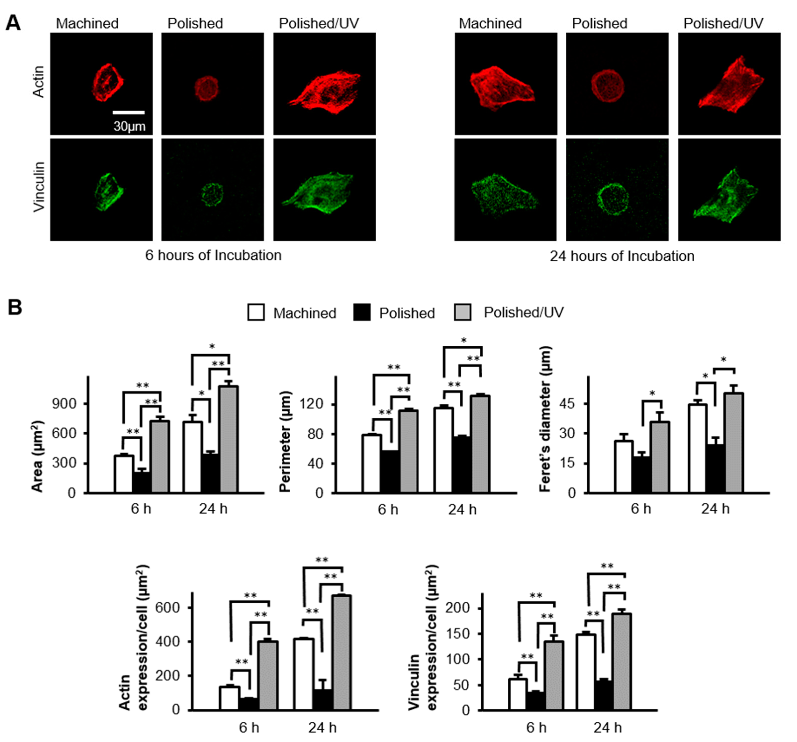 Materials 13 03946 g006