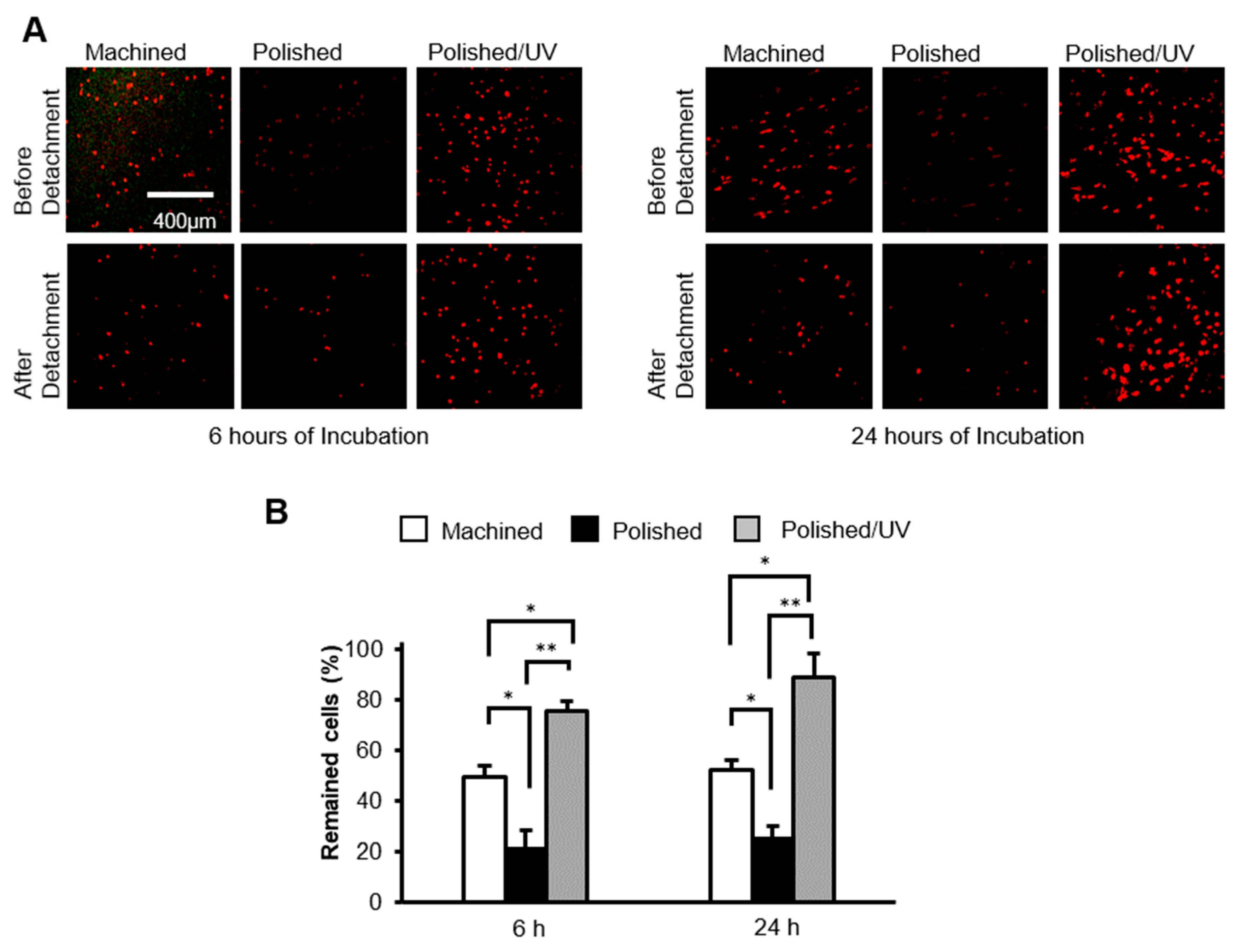 Materials 13 03946 g007