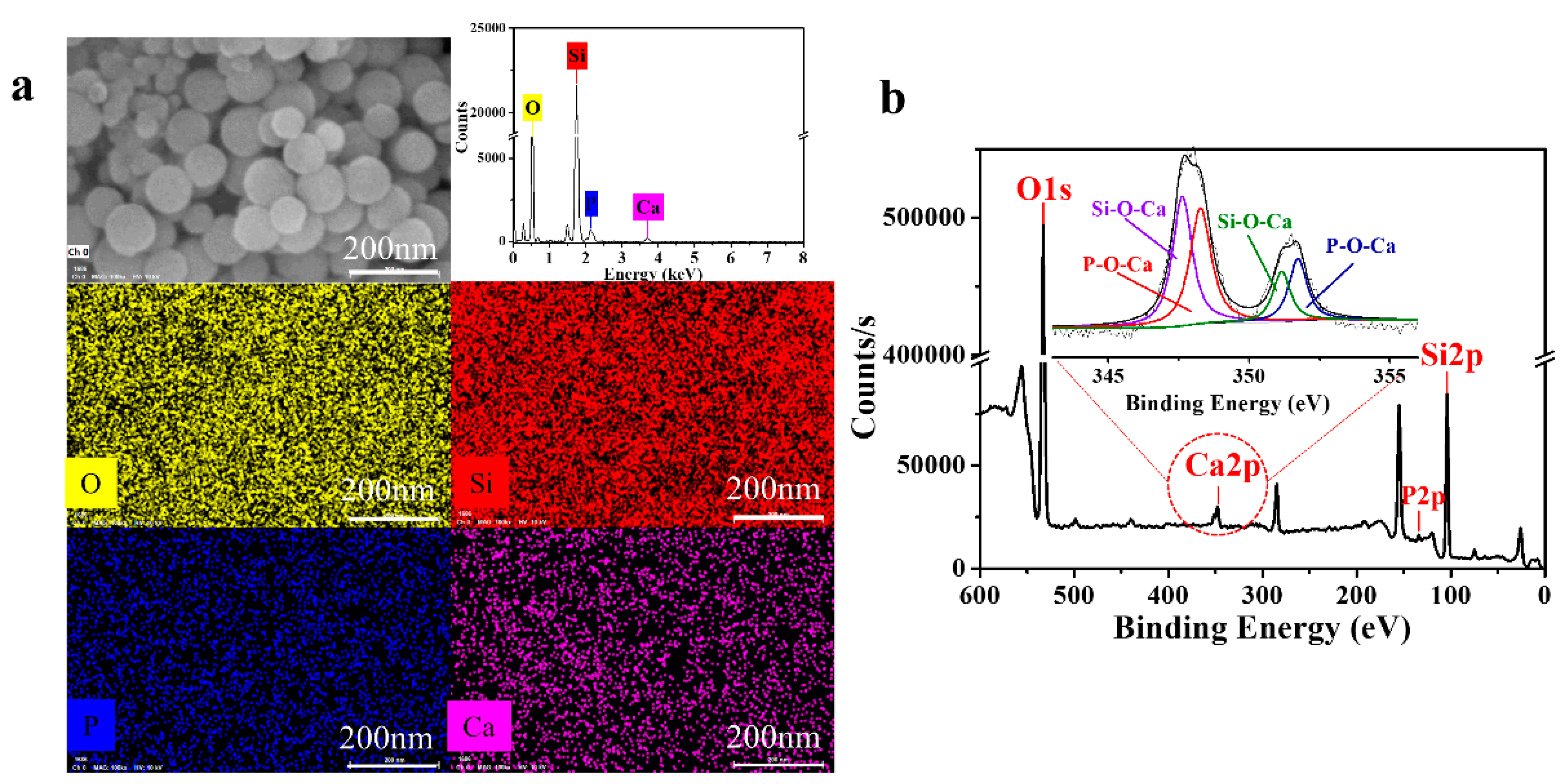 Materials 13 03950 g006 Materials 13 03950 g006