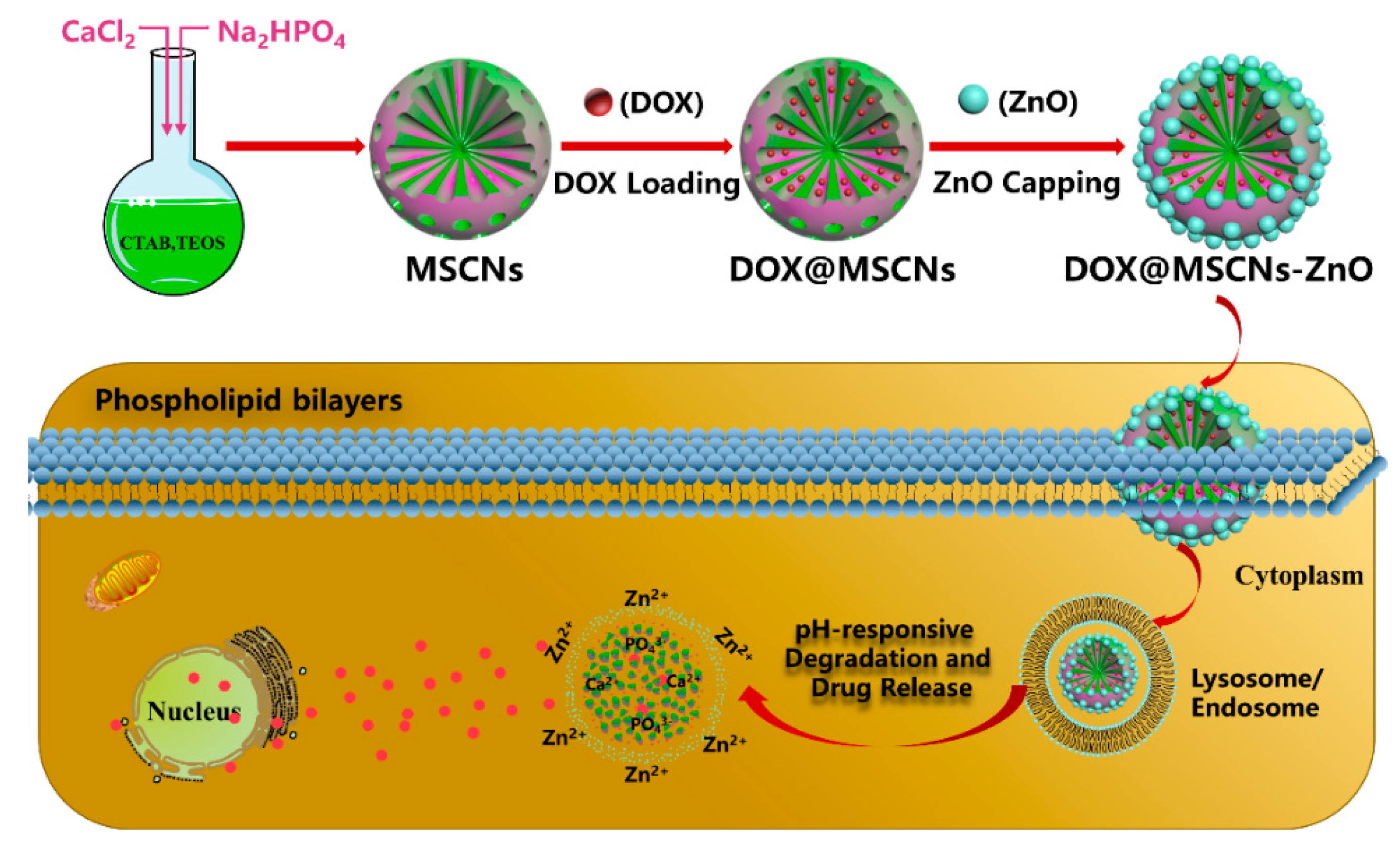 Materials 13 03950 sch001 Materials 13 03950 sch001