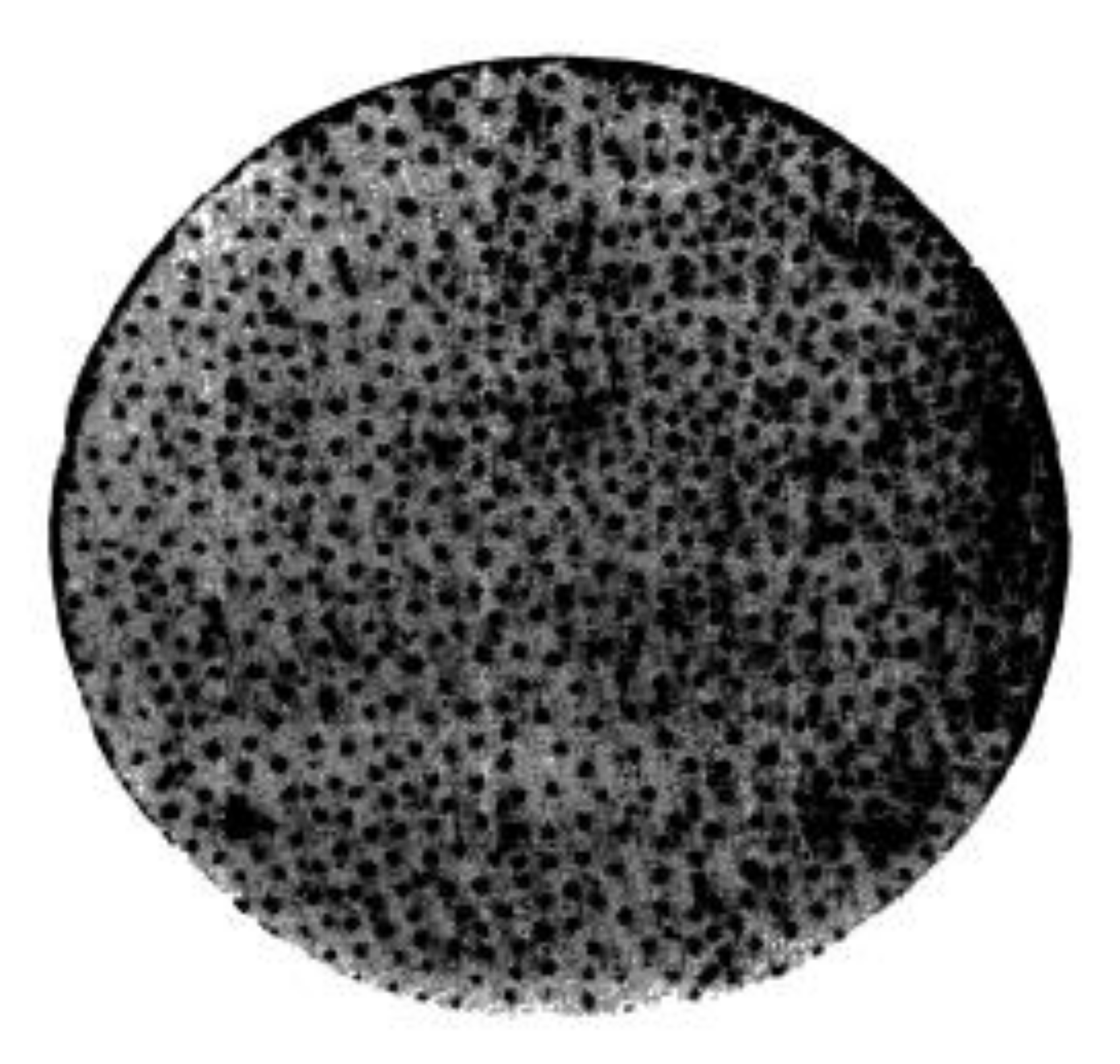 Materials 13 03956 g003 Materials 13 03956 g003