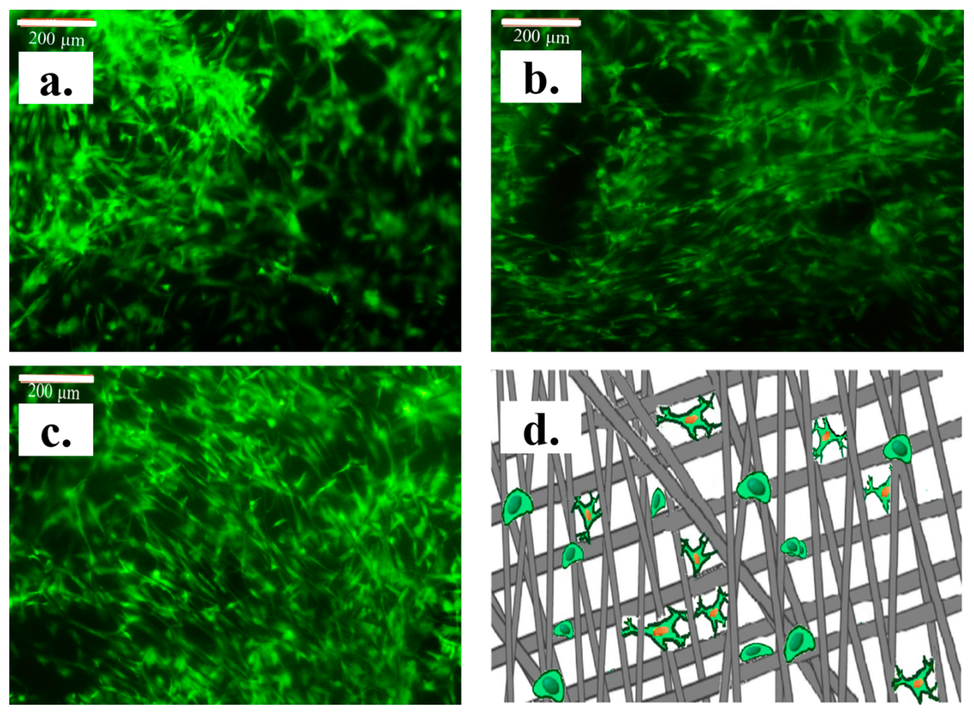 Materials 13 03961 g008 Materials 13 03961 g008