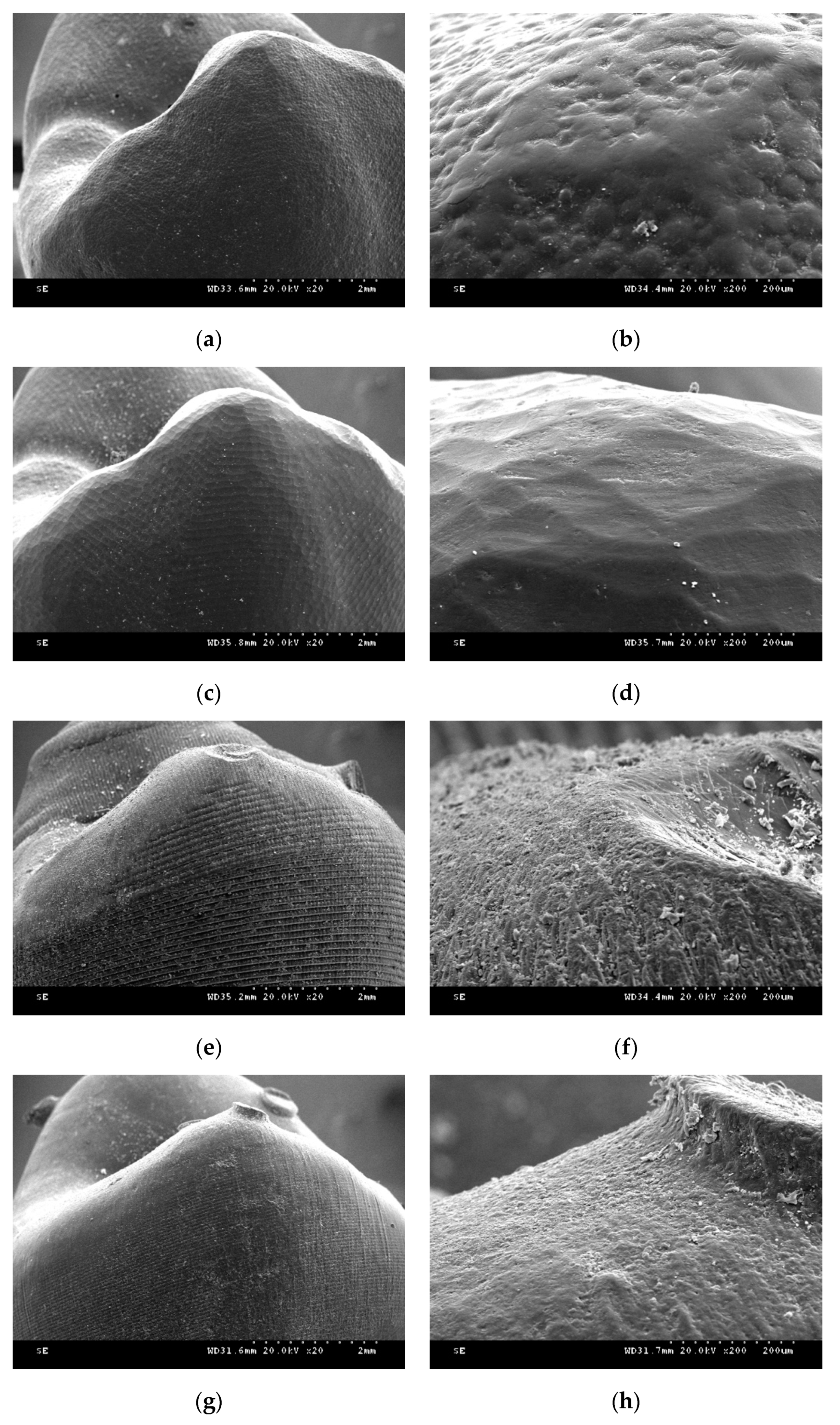 Materials 13 03970 g007a