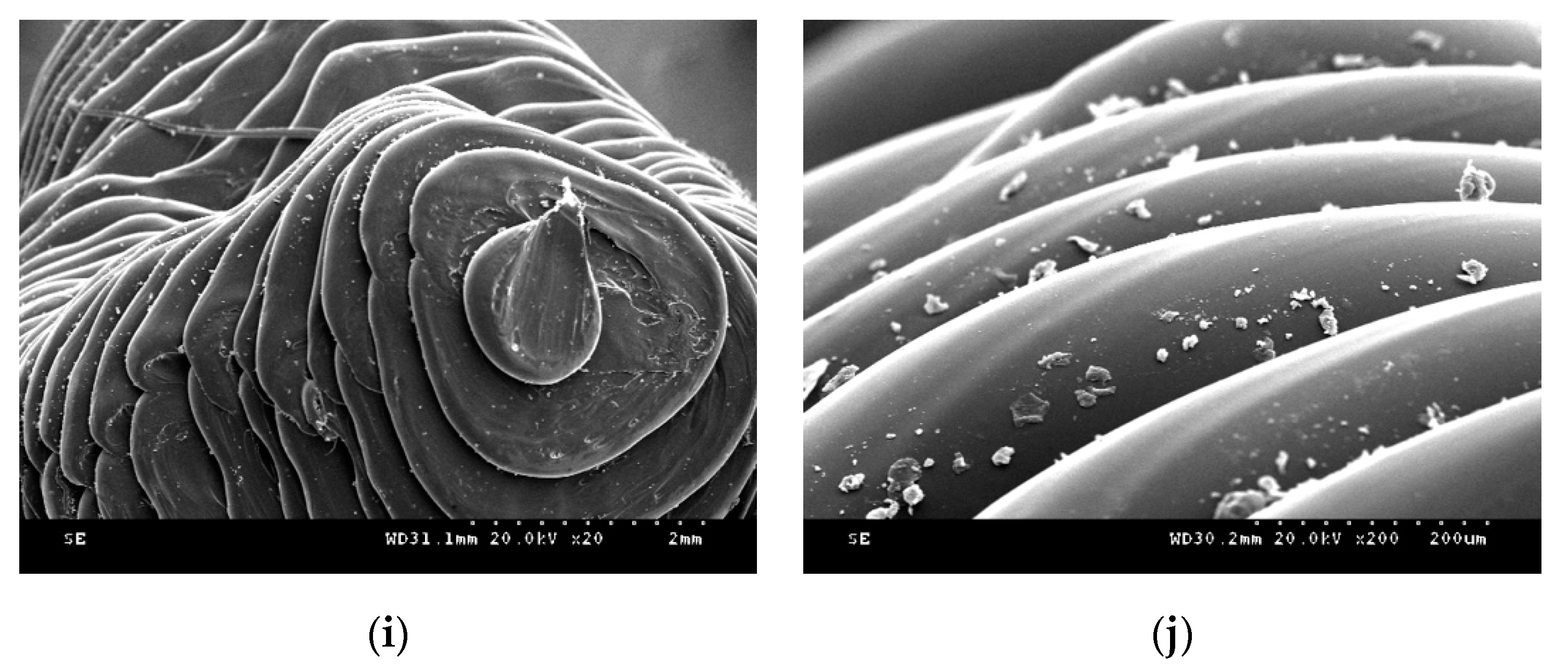 Materials 13 03970 g007b