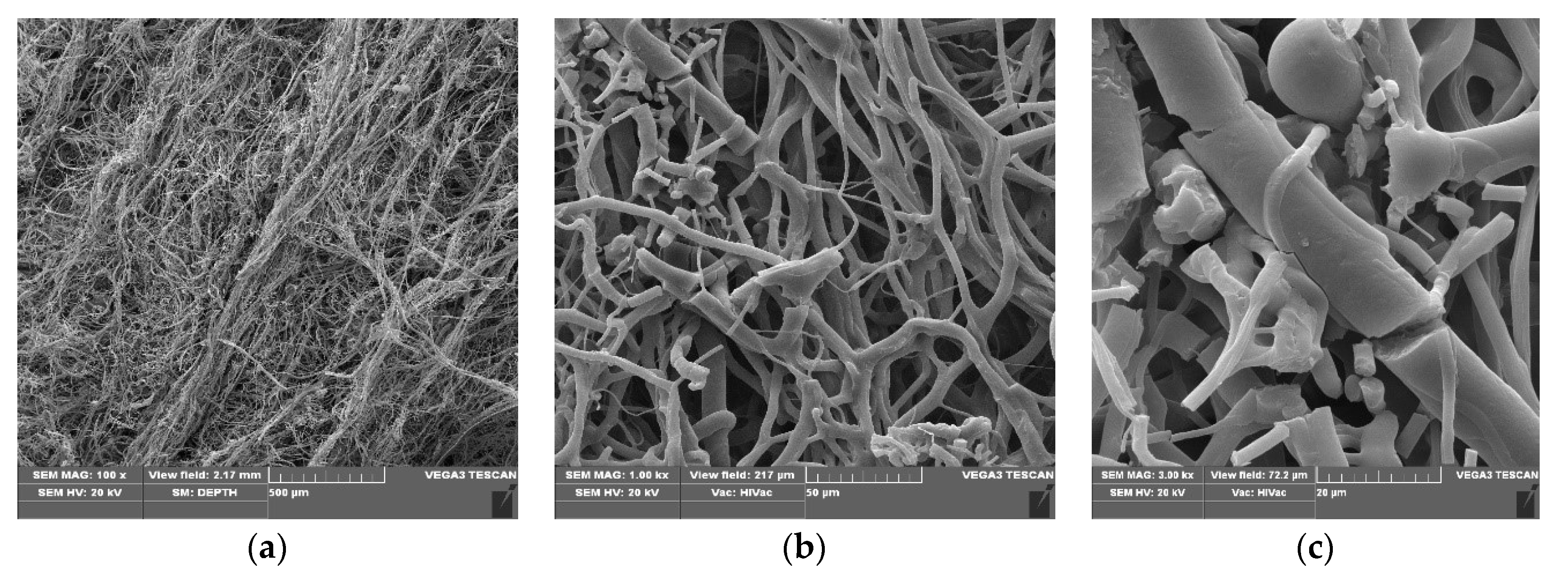 Materials 13 03971 g003