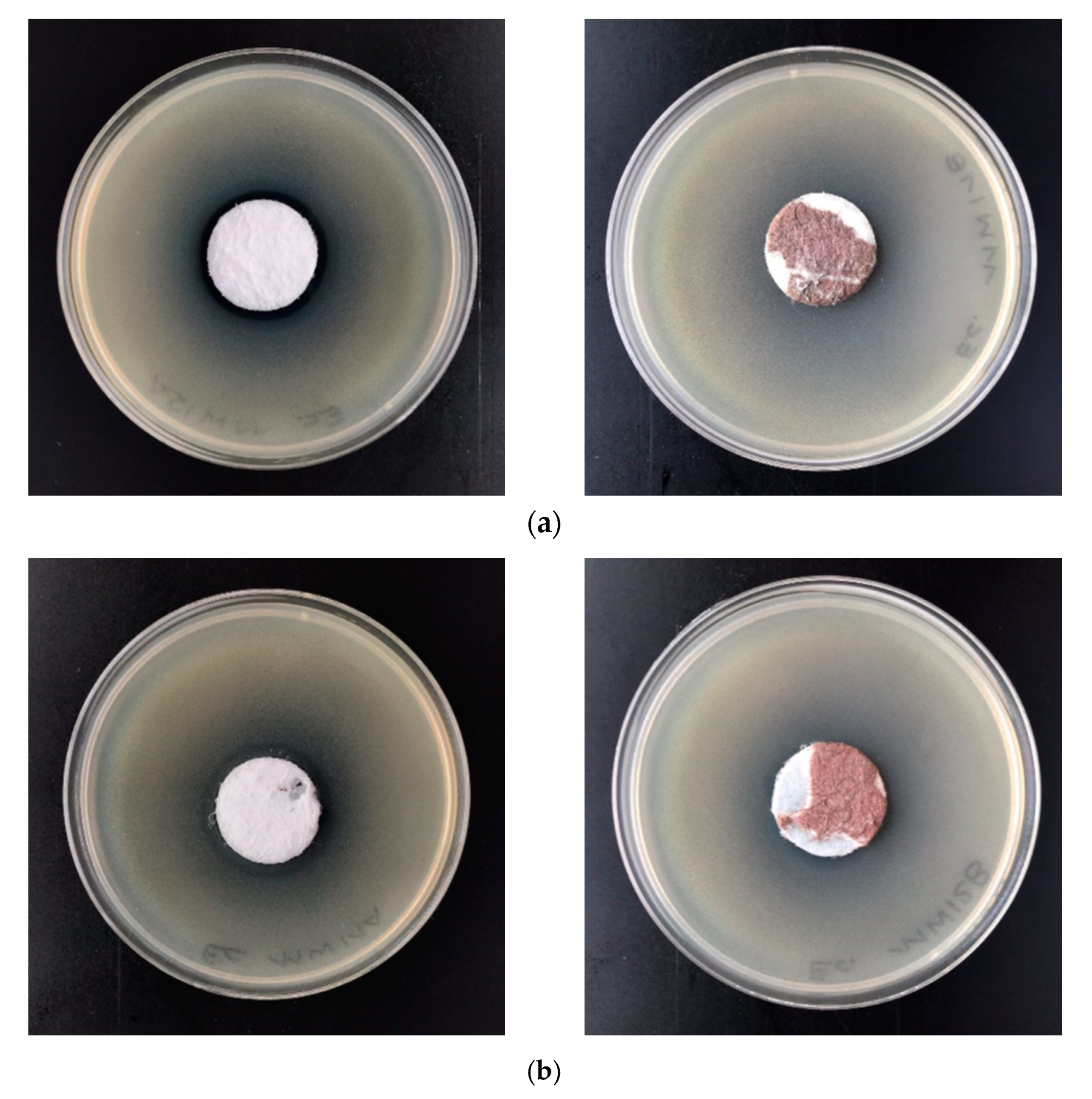 Materials 13 03971 g006