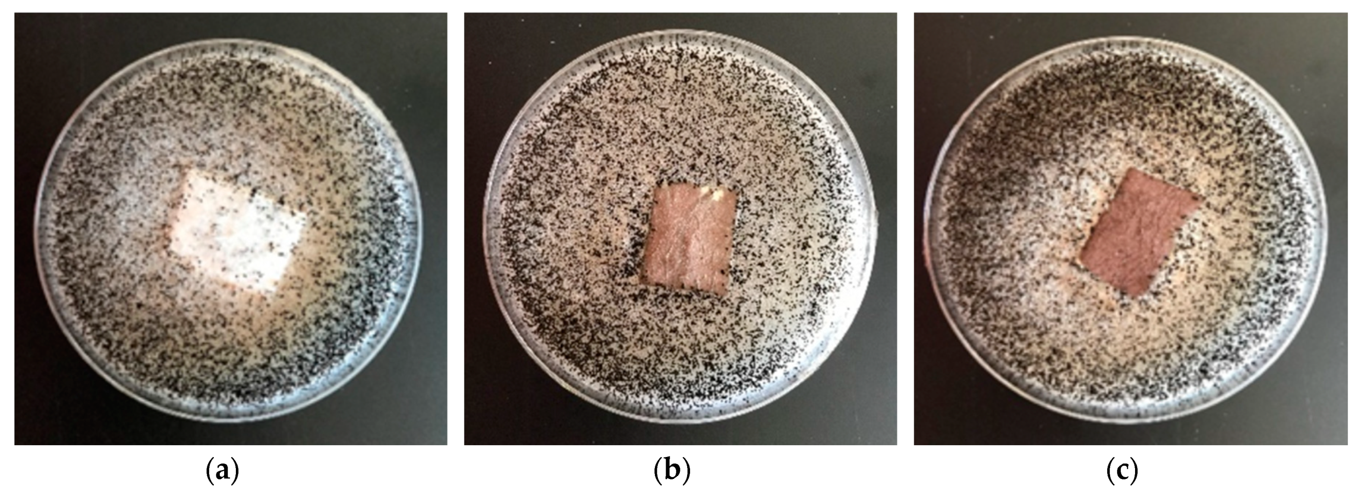 Materials 13 03971 g007