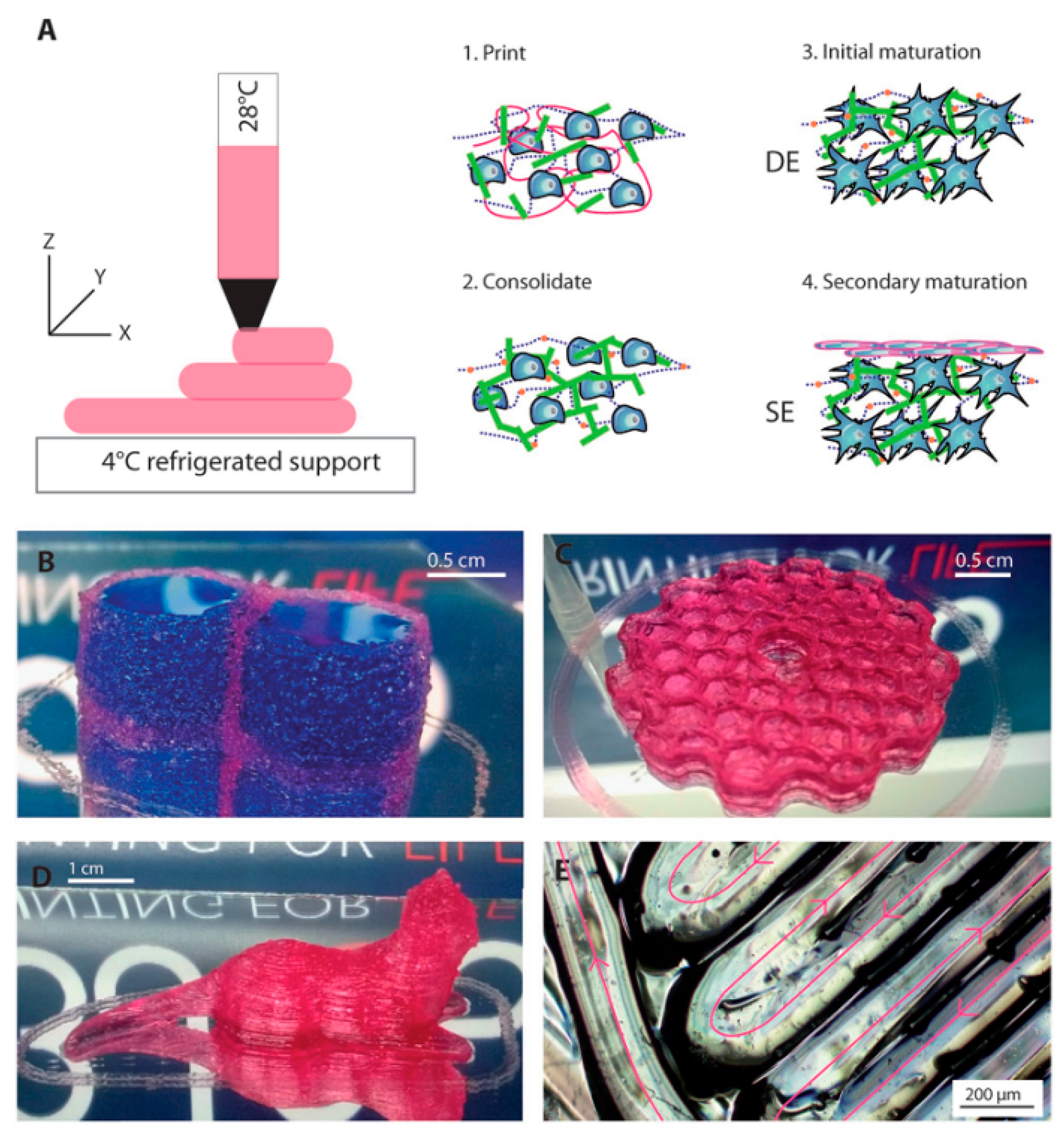 Materials 13 03980 g008 Materials 13 03980 g008