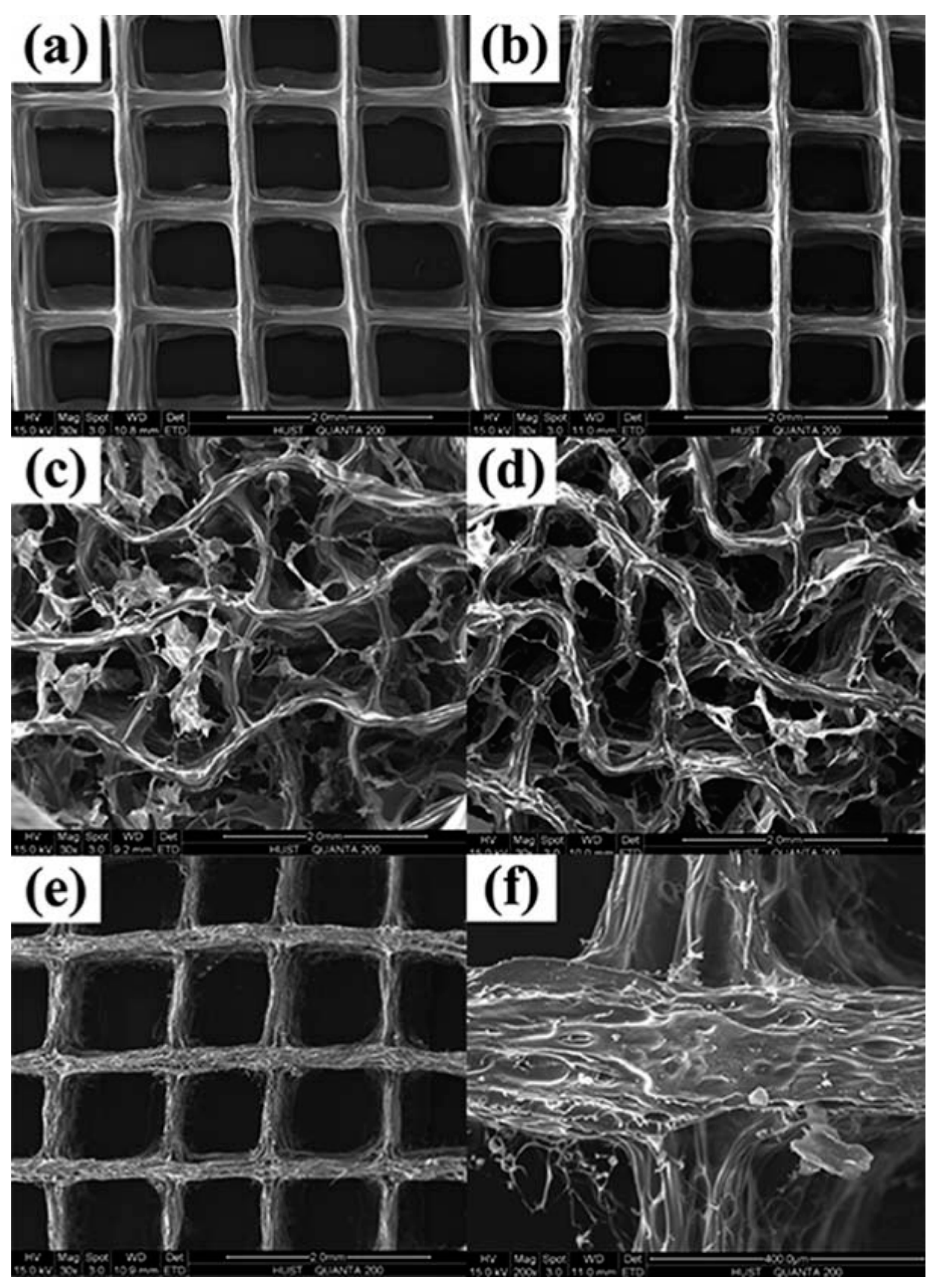 Materials 13 03980 g009 Materials 13 03980 g009