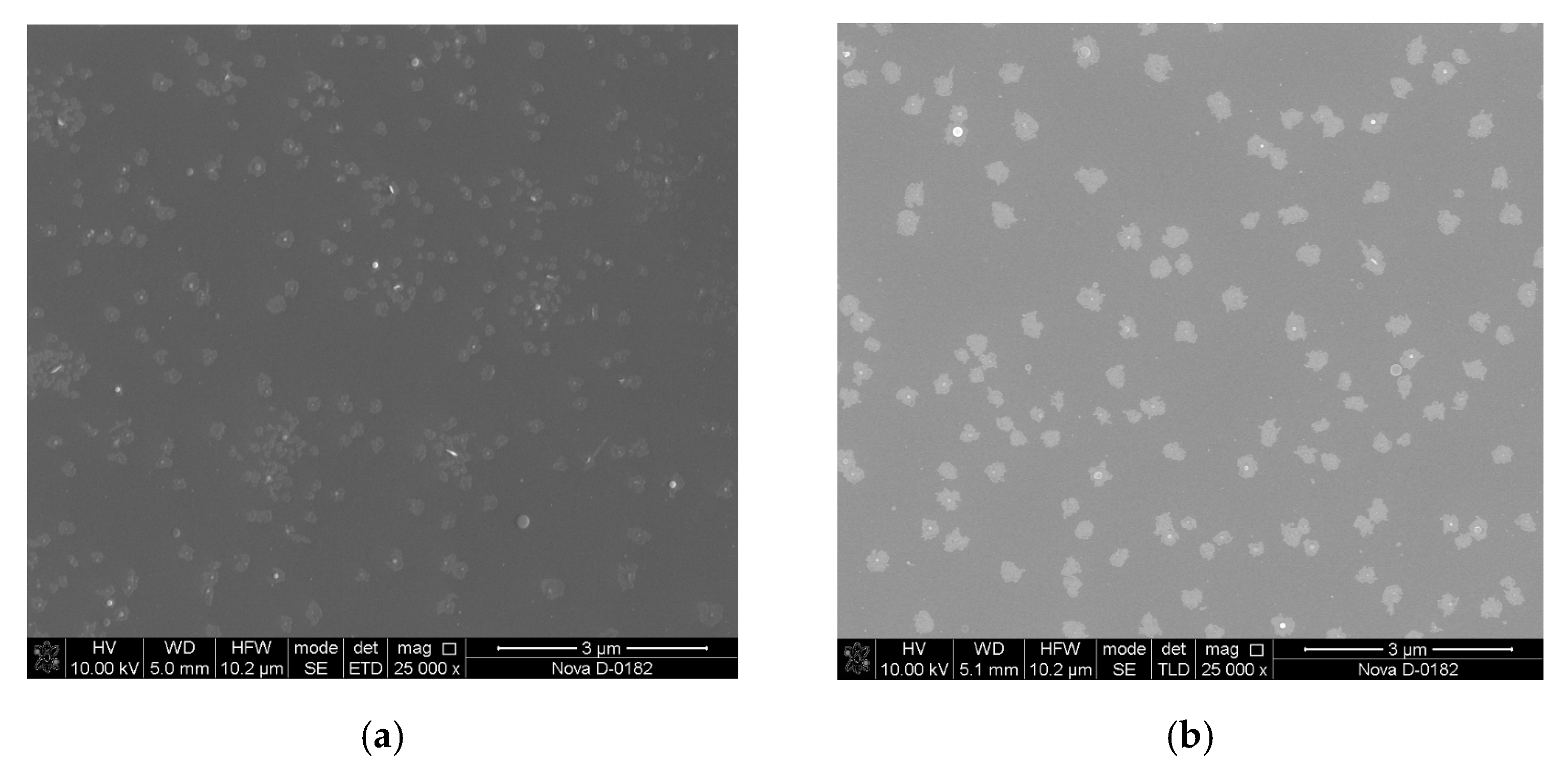 Materials 13 03984 g006 Materials 13 03984 g006