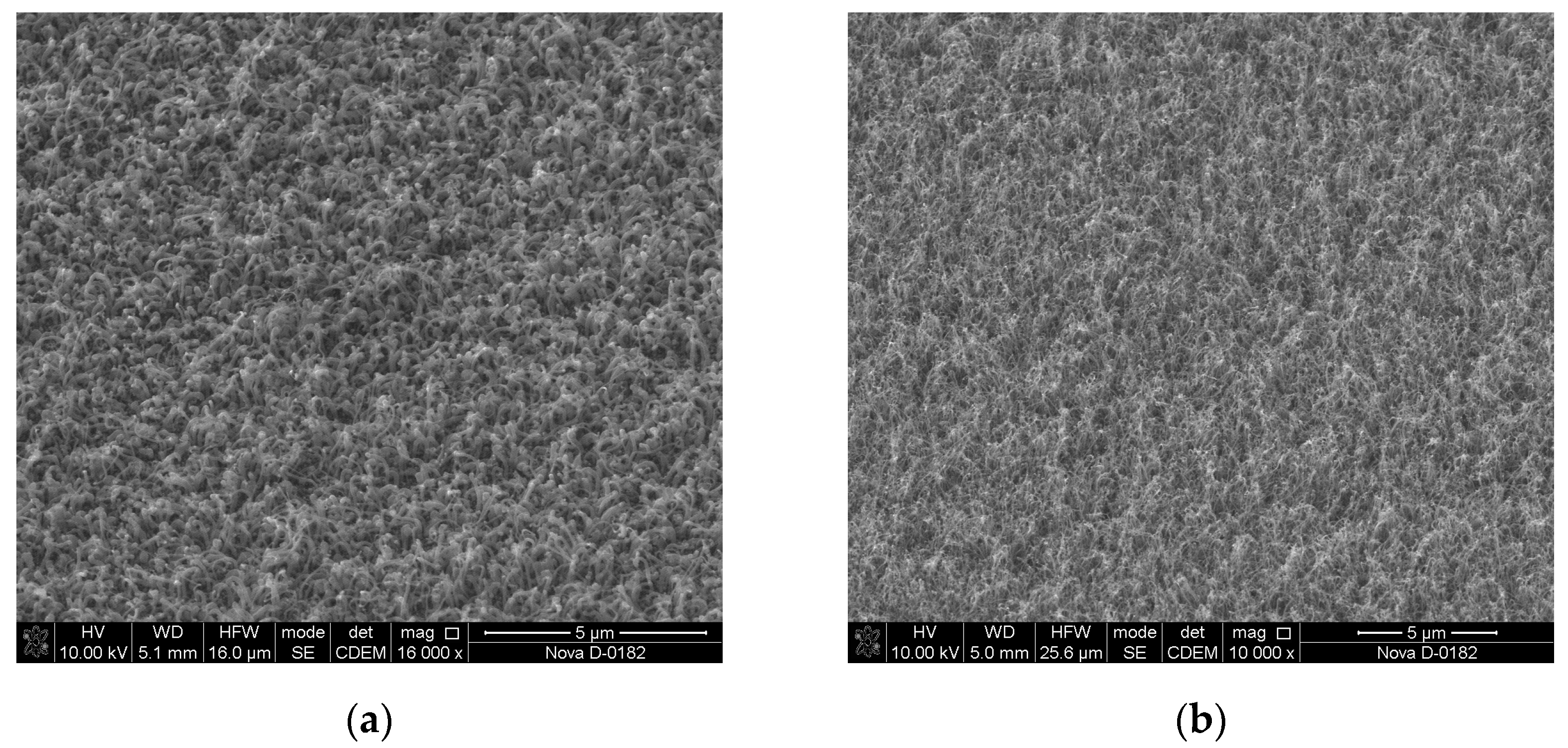 Materials 13 03984 g009 Materials 13 03984 g009