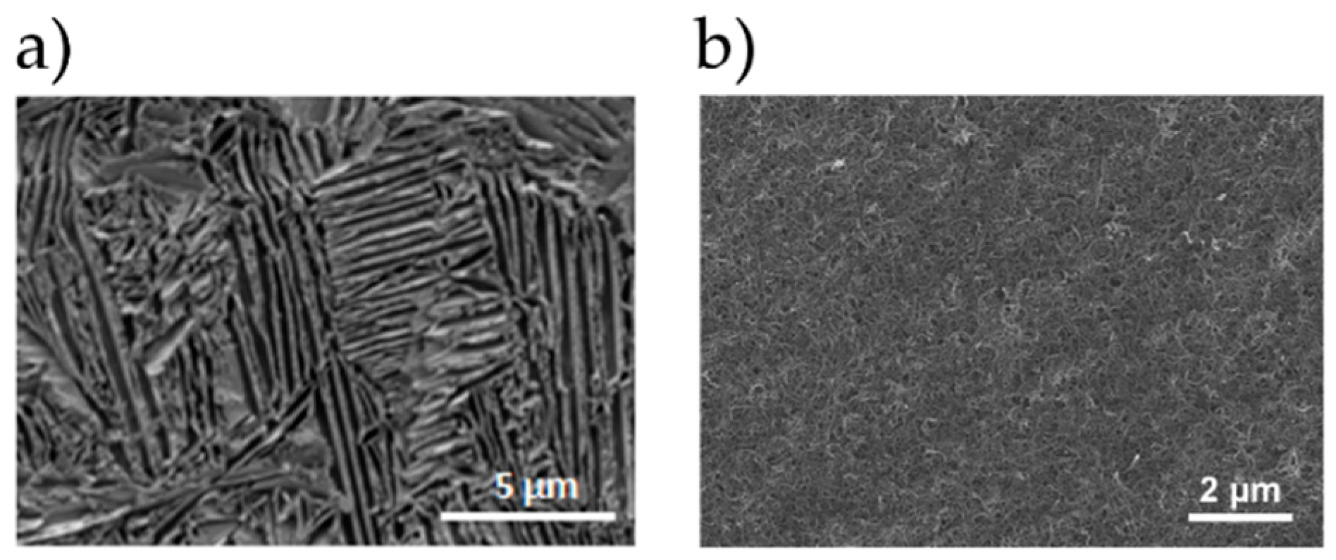 Materials 13 03991 g003 Materials 13 03991 g003