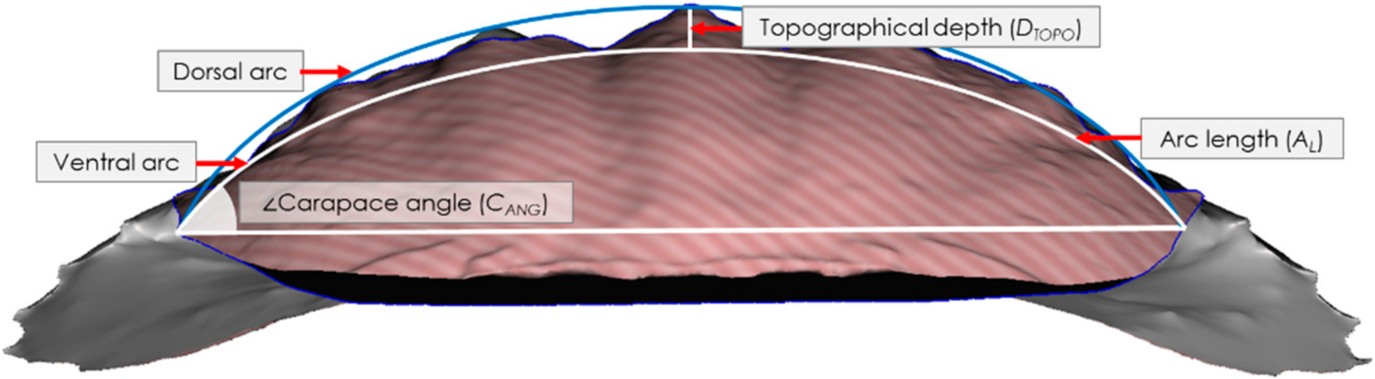Materials 13 03994 g001 Materials 13 03994 g001