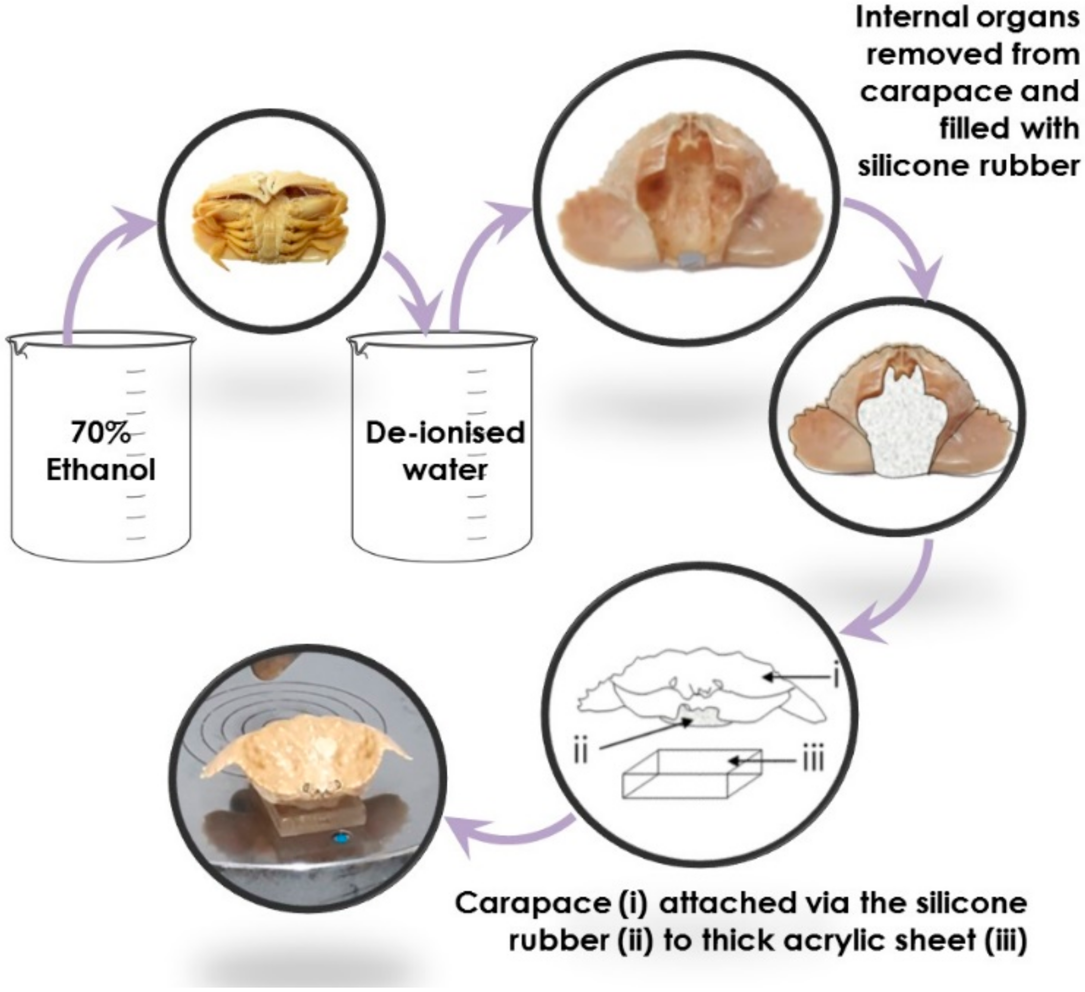 Materials 13 03994 g002 Materials 13 03994 g002