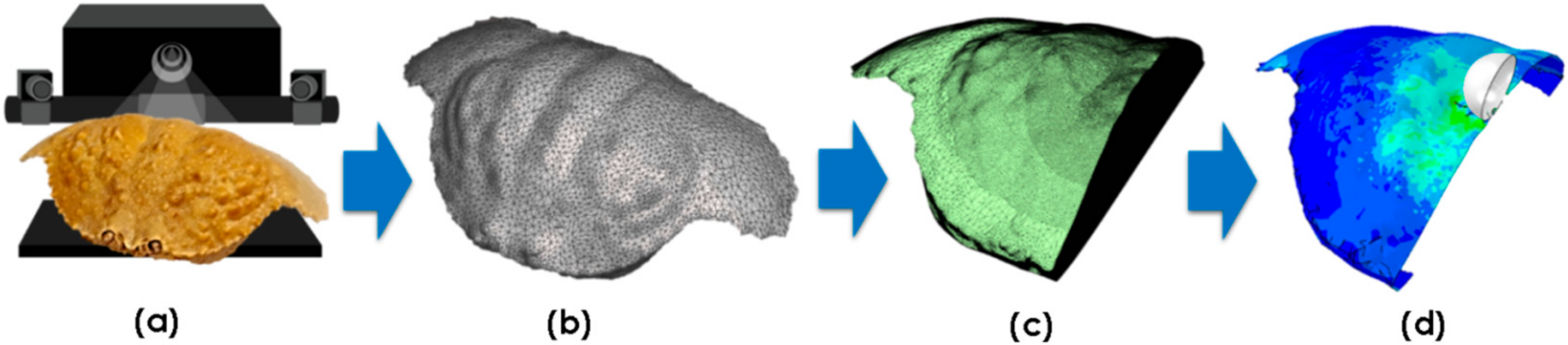 Materials 13 03994 g003 Materials 13 03994 g003