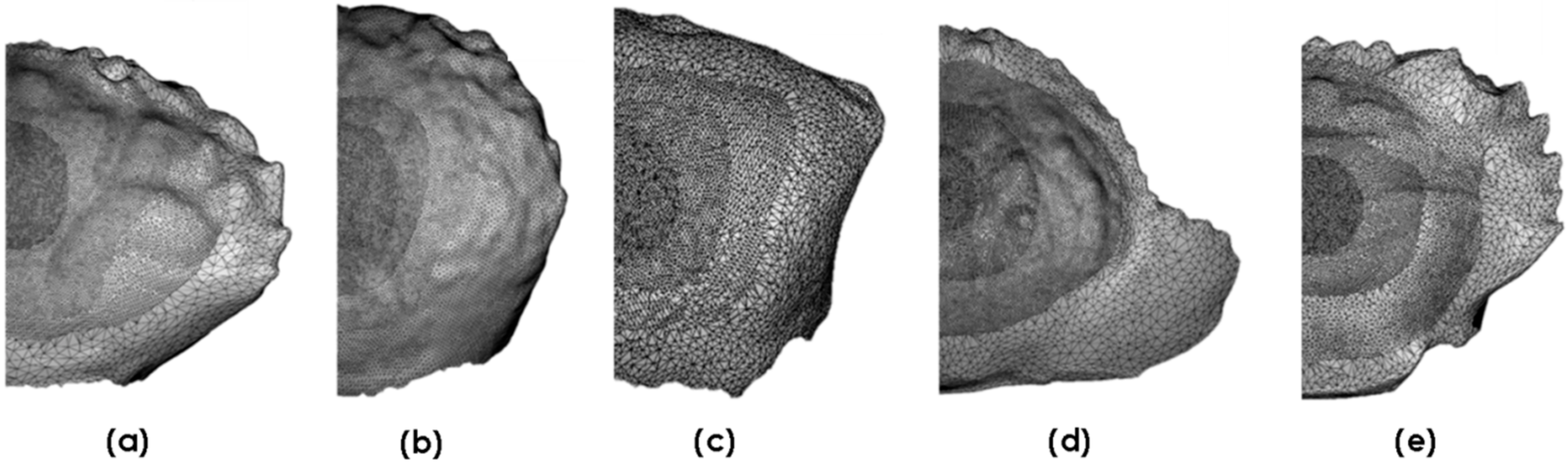 Materials 13 03994 g004 Materials 13 03994 g004