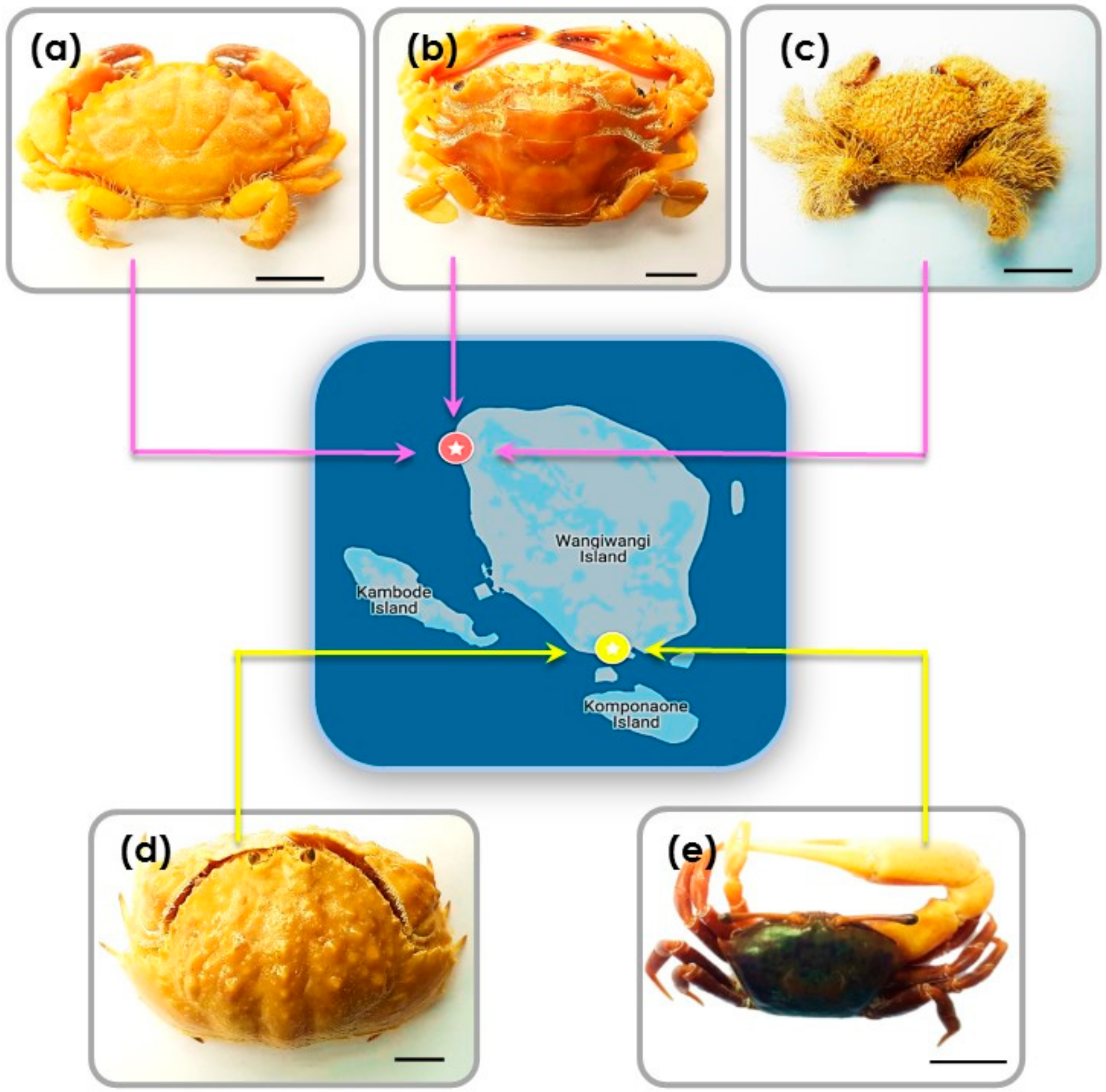 Materials 13 03994 g006 Materials 13 03994 g006