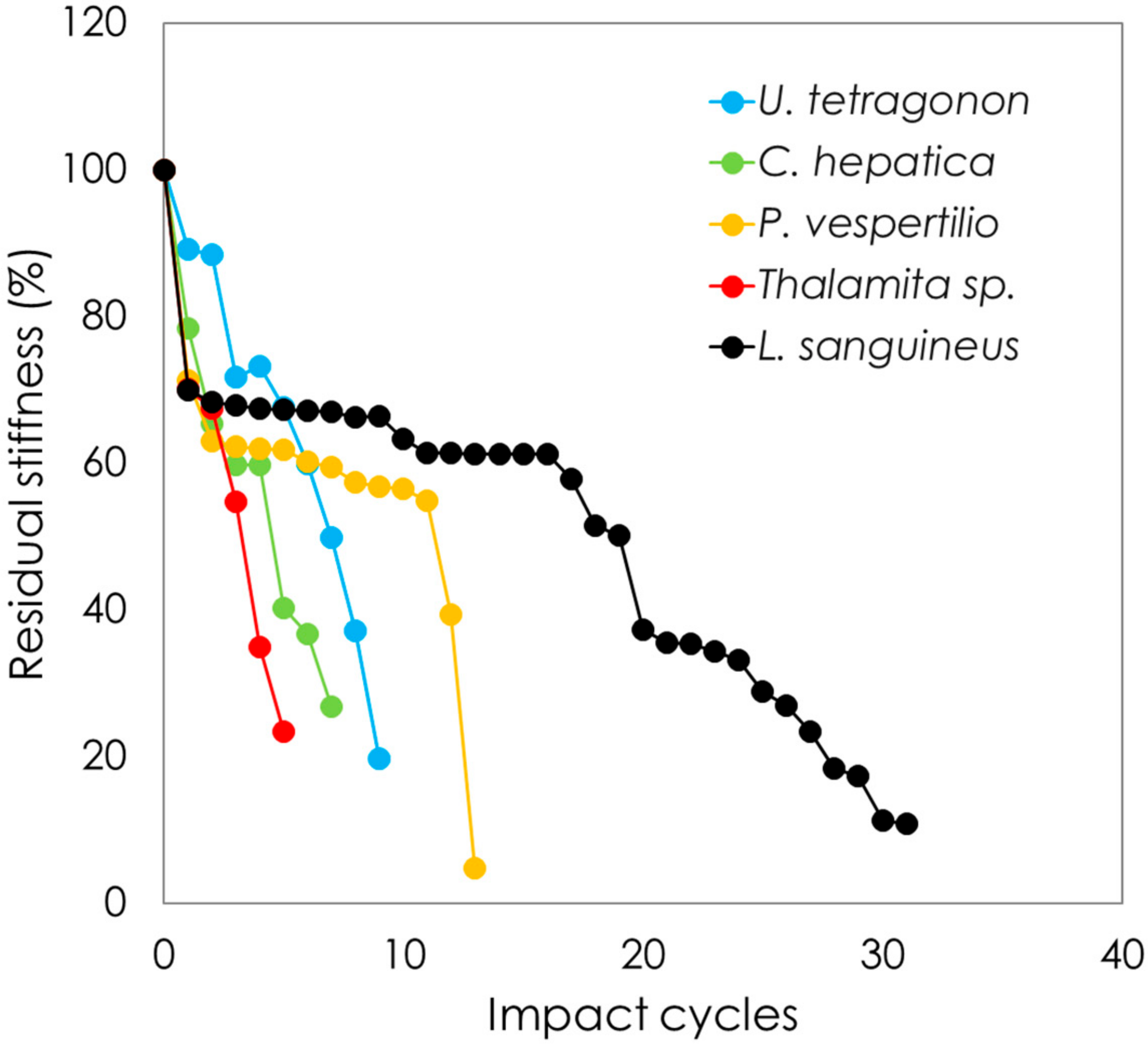 Materials 13 03994 g008 Materials 13 03994 g008
