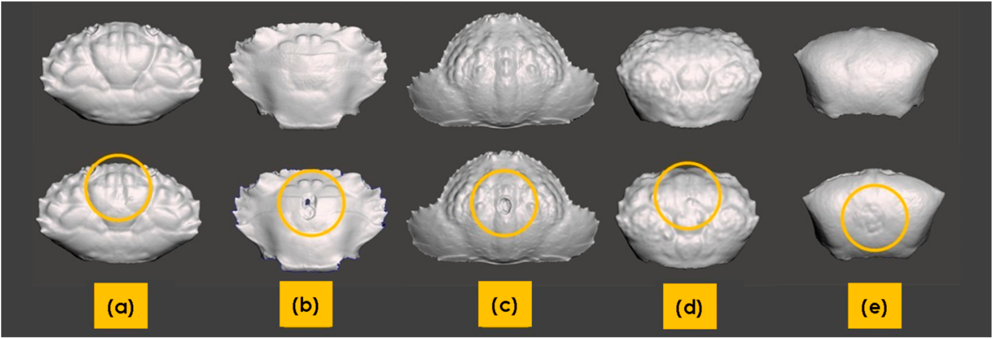 Materials 13 03994 g009 Materials 13 03994 g009