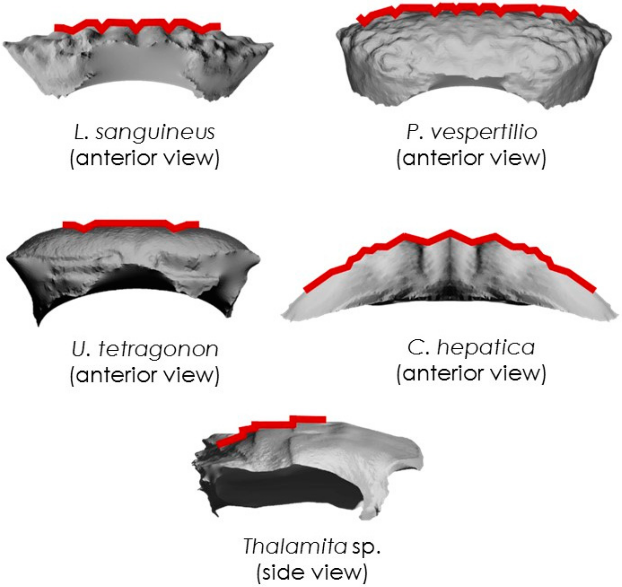 Materials 13 03994 g011 Materials 13 03994 g011