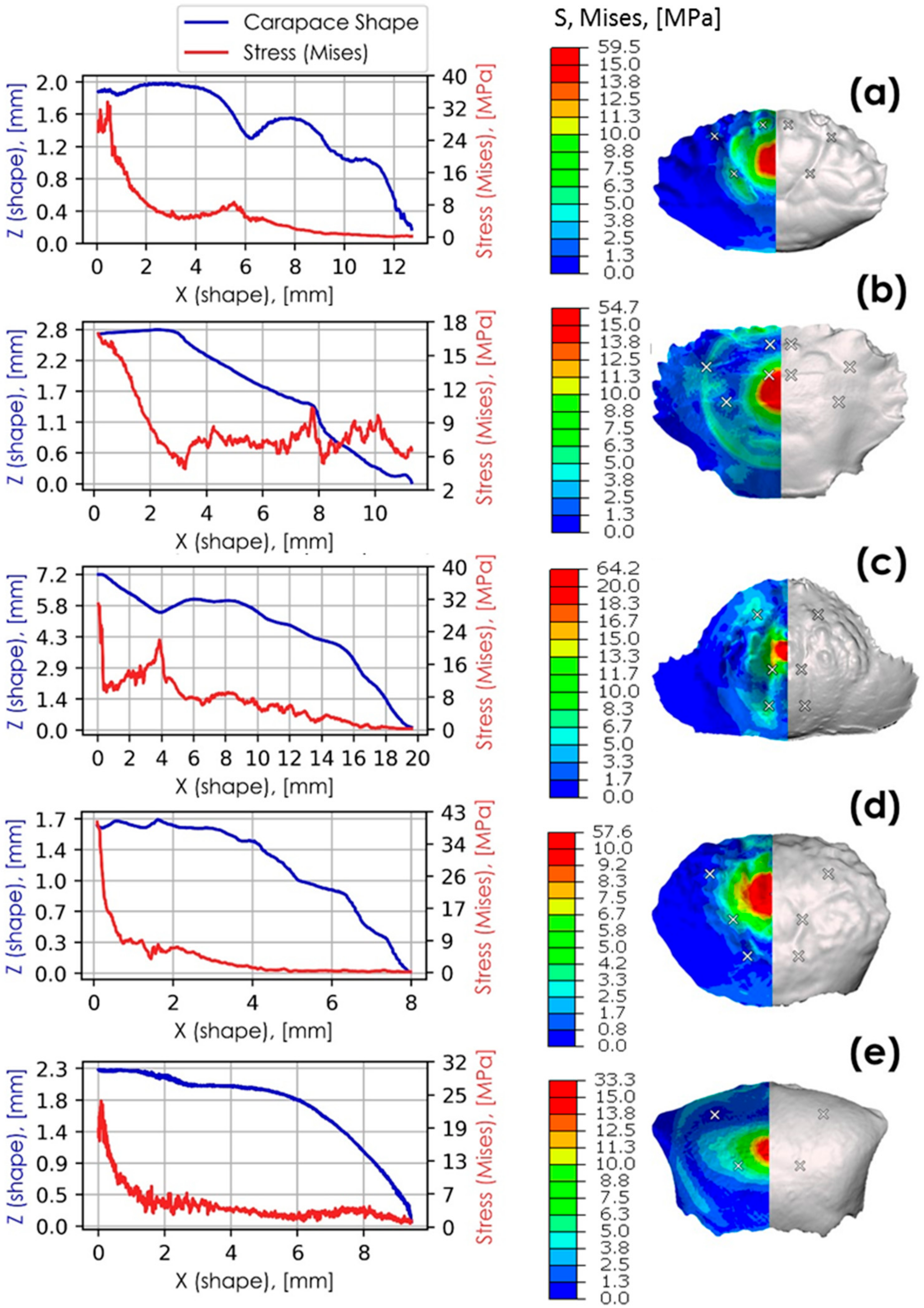 Materials 13 03994 g012 Materials 13 03994 g012