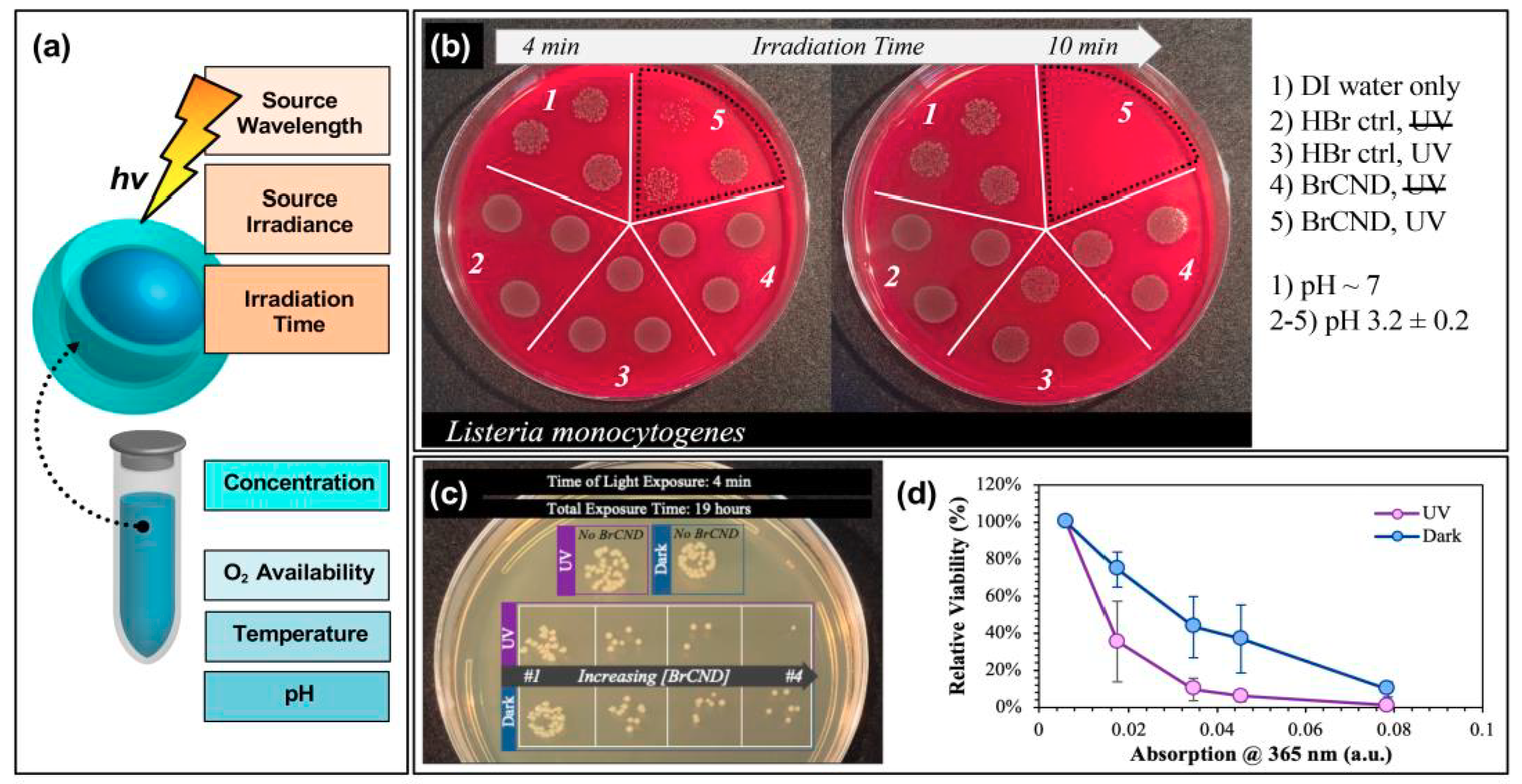 Materials 13 04004 g008