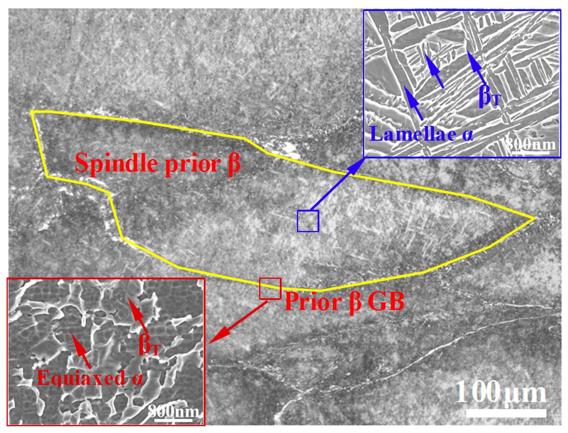 Materials 13 04006 g003 Materials 13 04006 g003