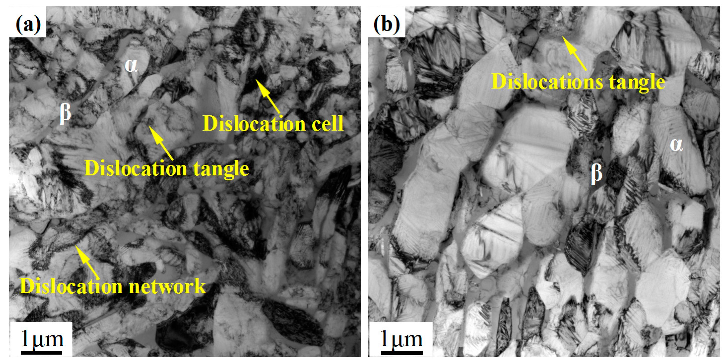 Materials 13 04006 g005 Materials 13 04006 g005