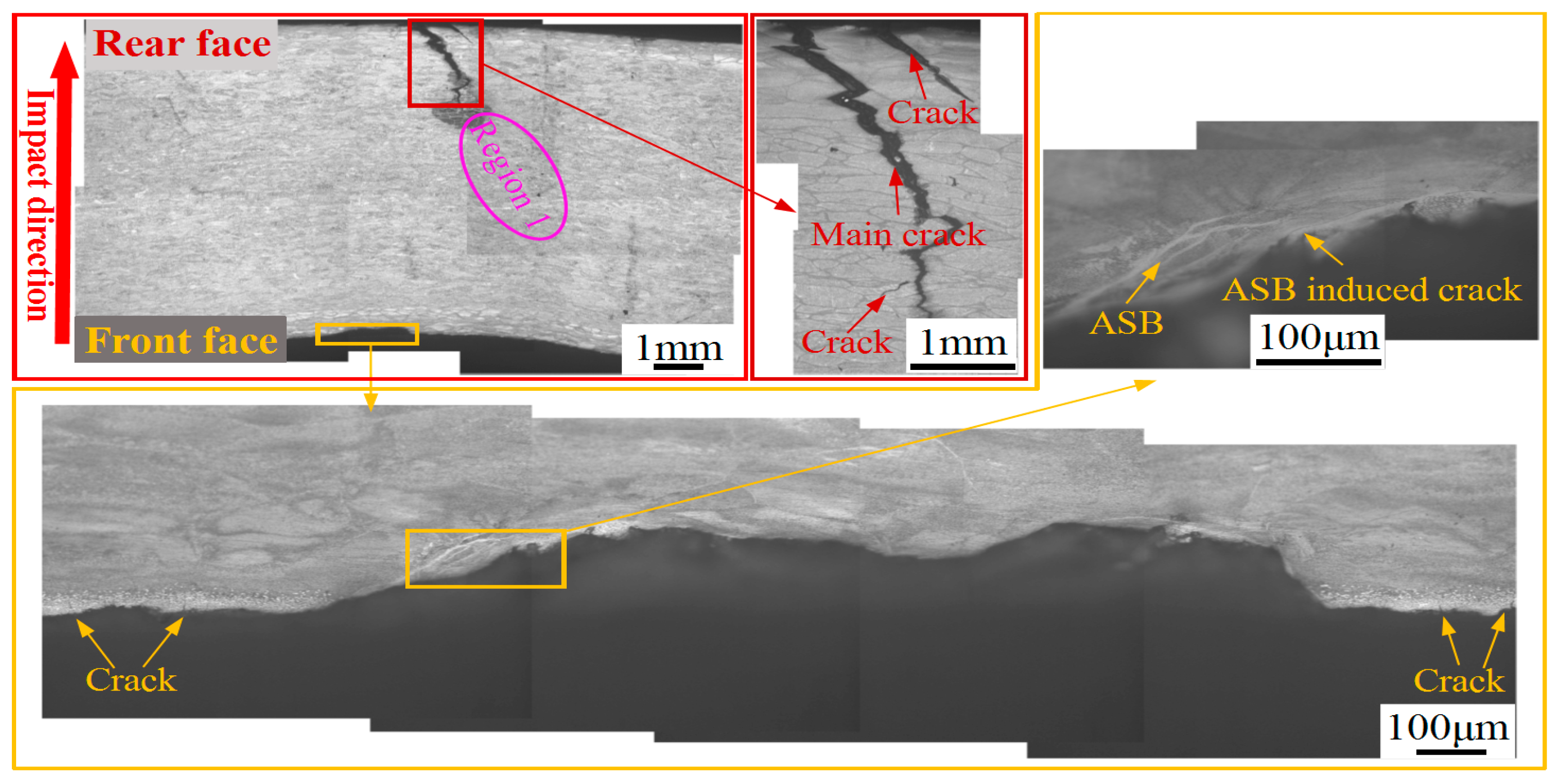 Materials 13 04006 g011 Materials 13 04006 g011