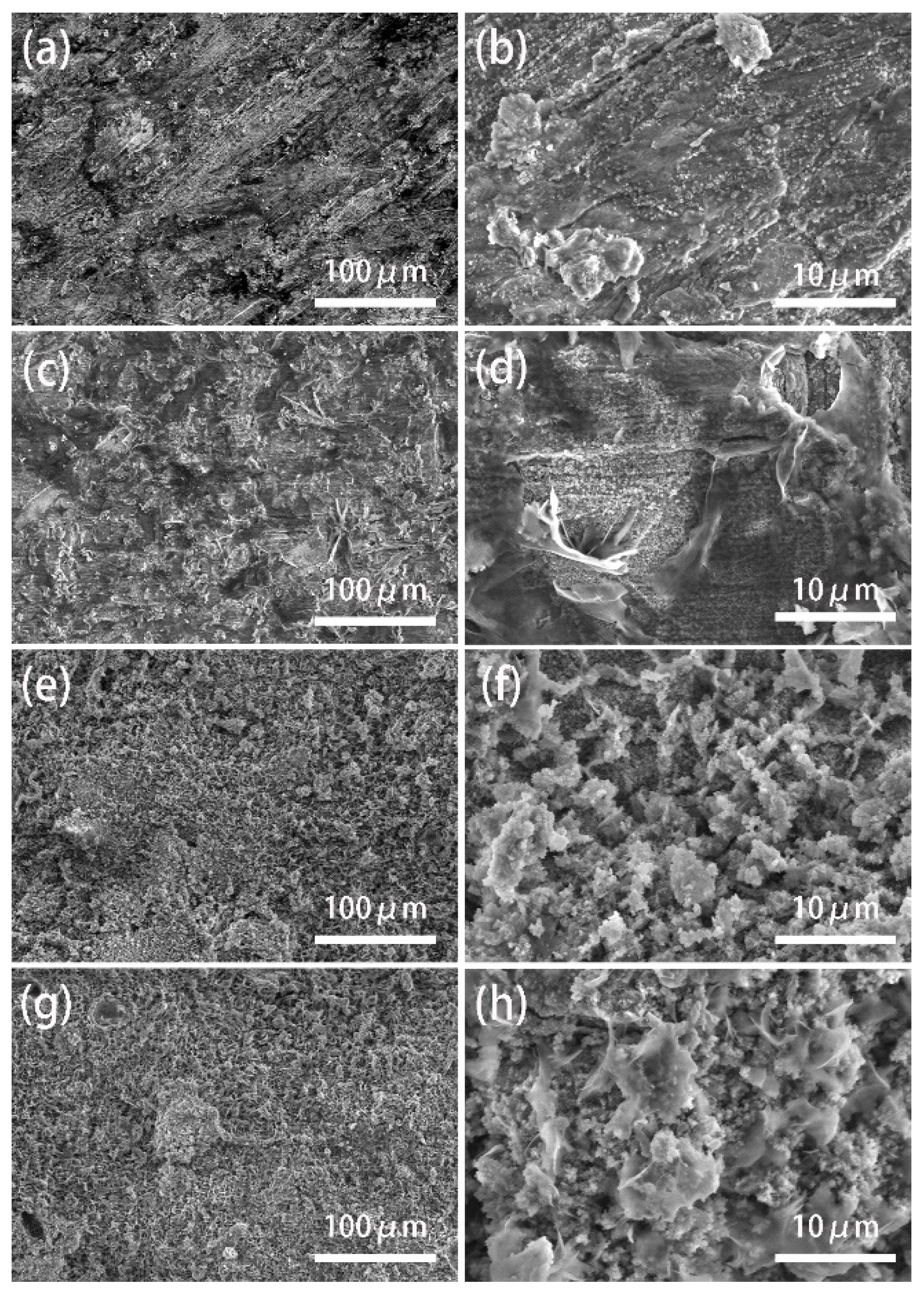 Materials 13 04007 g003 Materials 13 04007 g003