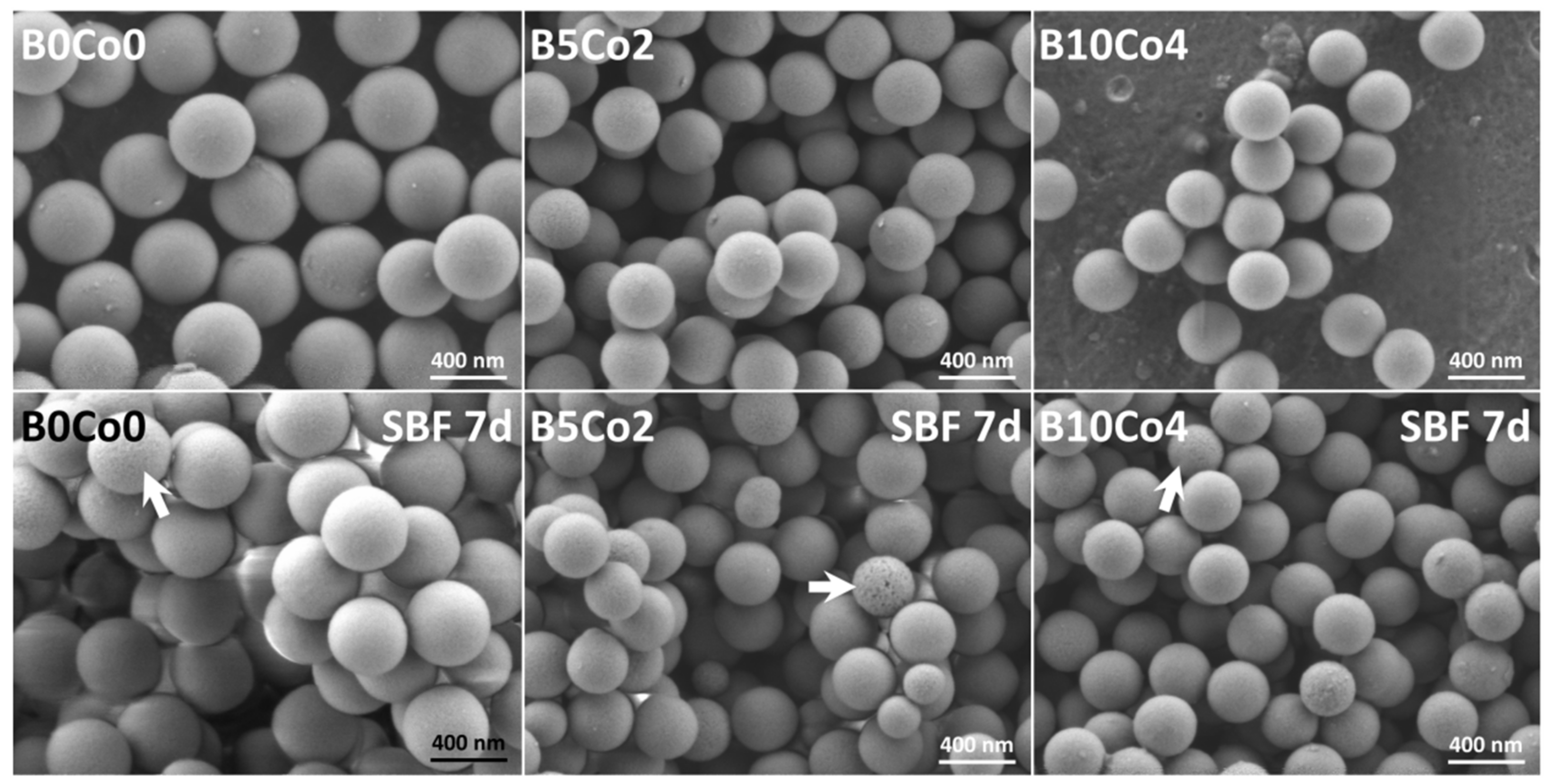 Materials 13 04010 g001 Materials 13 04010 g001