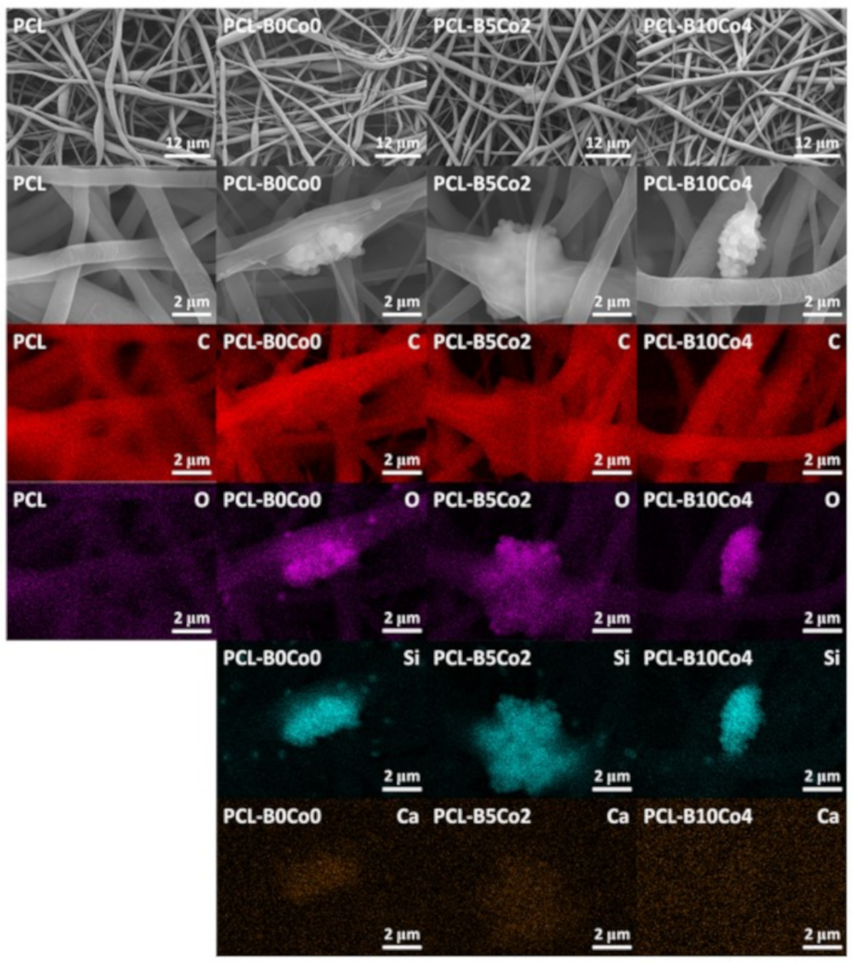 Materials 13 04010 g004 Materials 13 04010 g004