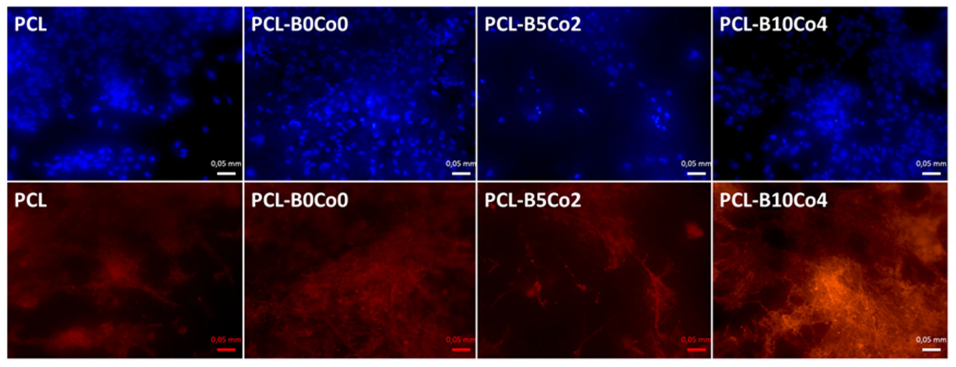 Materials 13 04010 g006 Materials 13 04010 g006