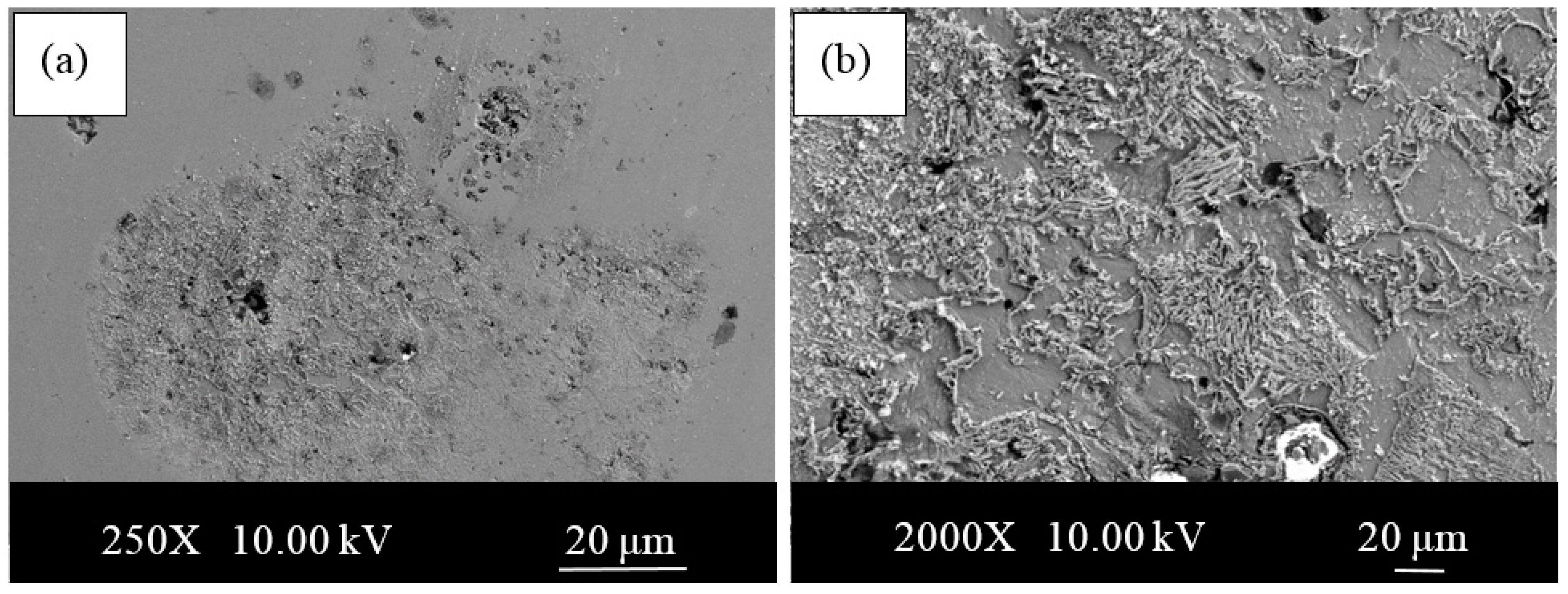 Materials 13 04021 g009 Materials 13 04021 g009