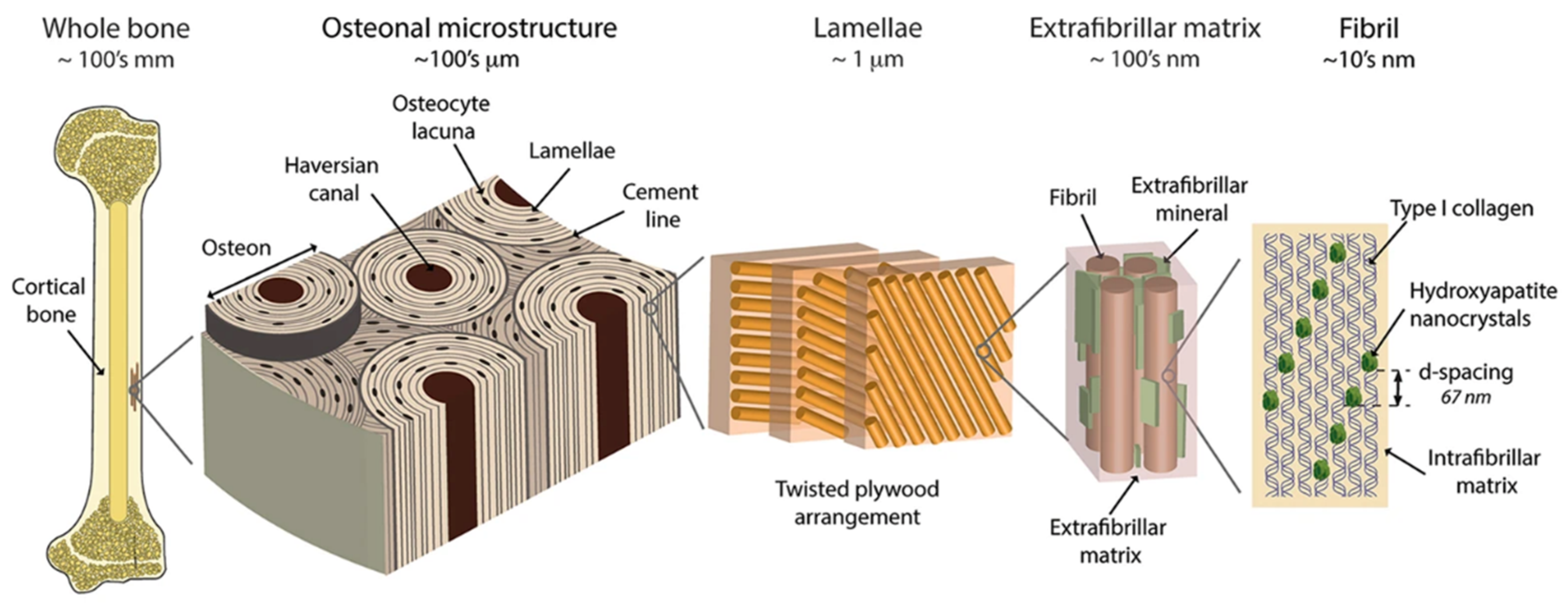 Materials 13 04039 g002 Materials 13 04039 g002