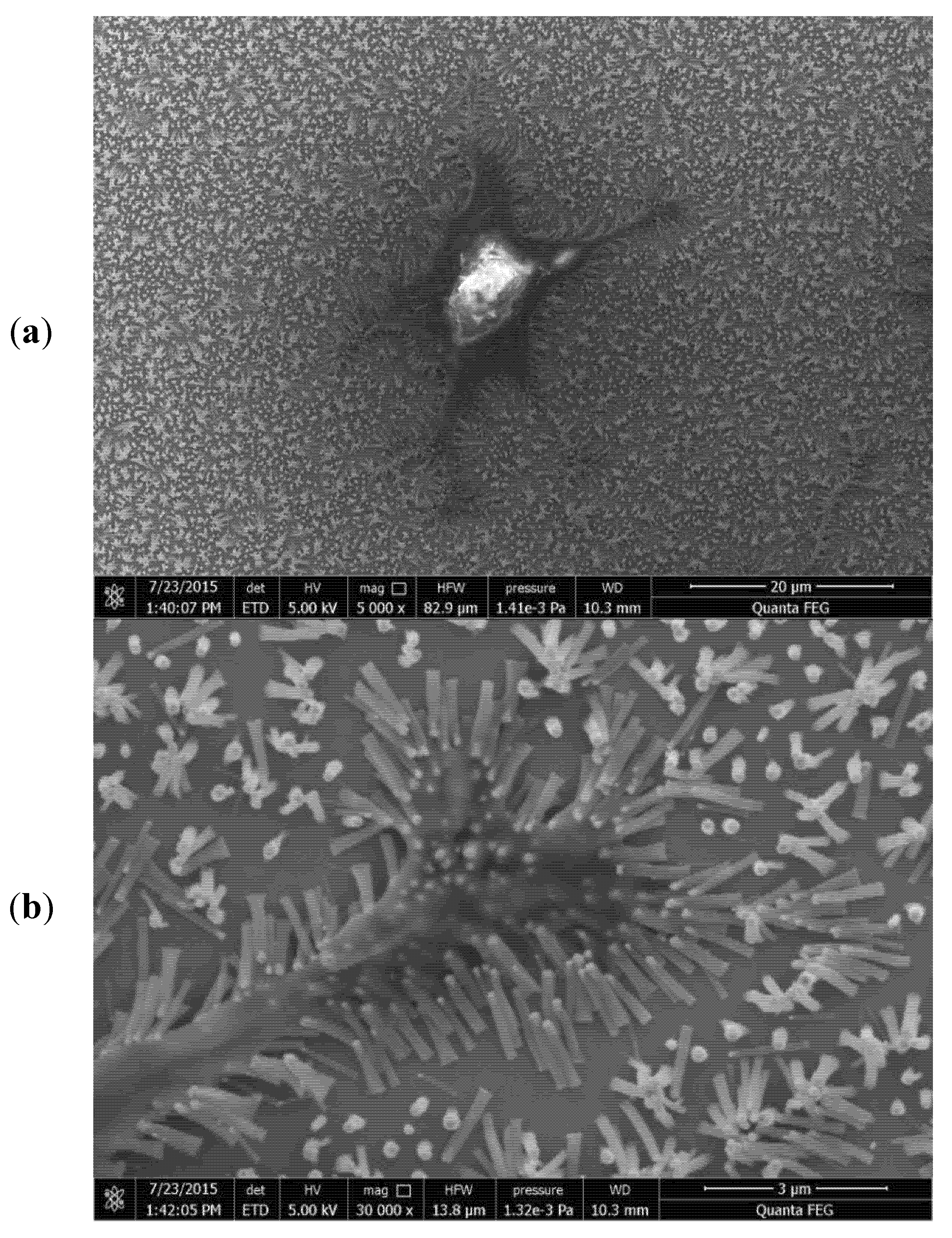 Materials 13 04039 g003 Materials 13 04039 g003