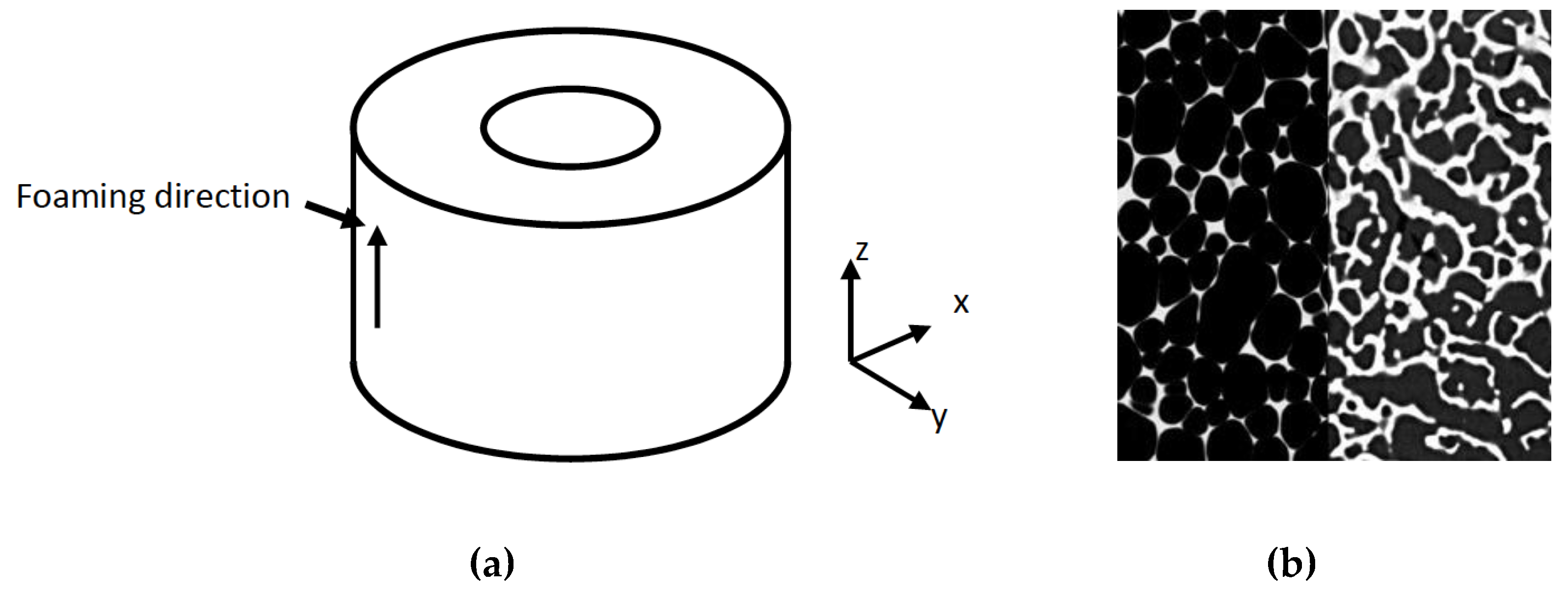 Materials 13 04050 g001 Materials 13 04050 g001