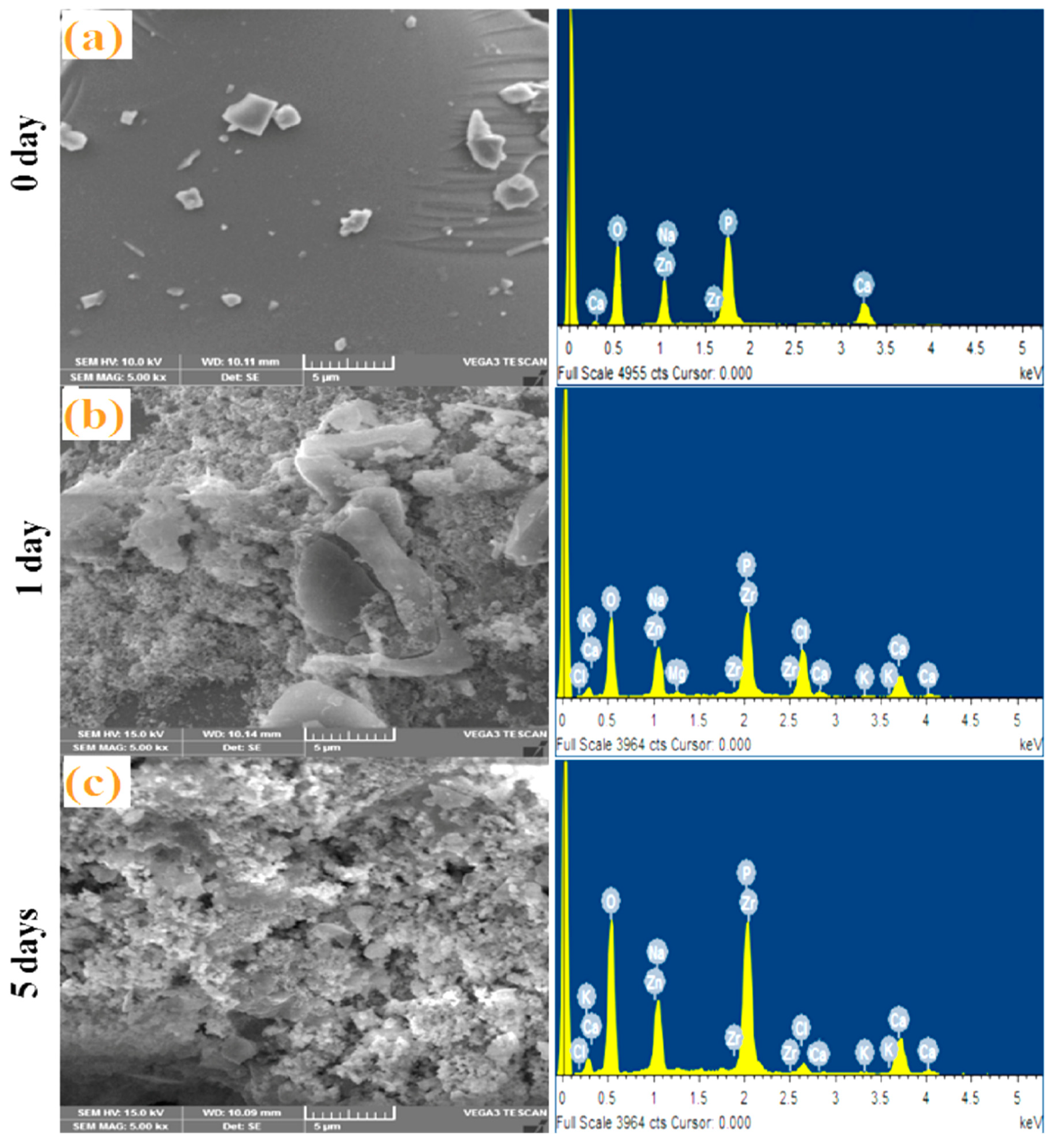 Materials 13 04058 g005