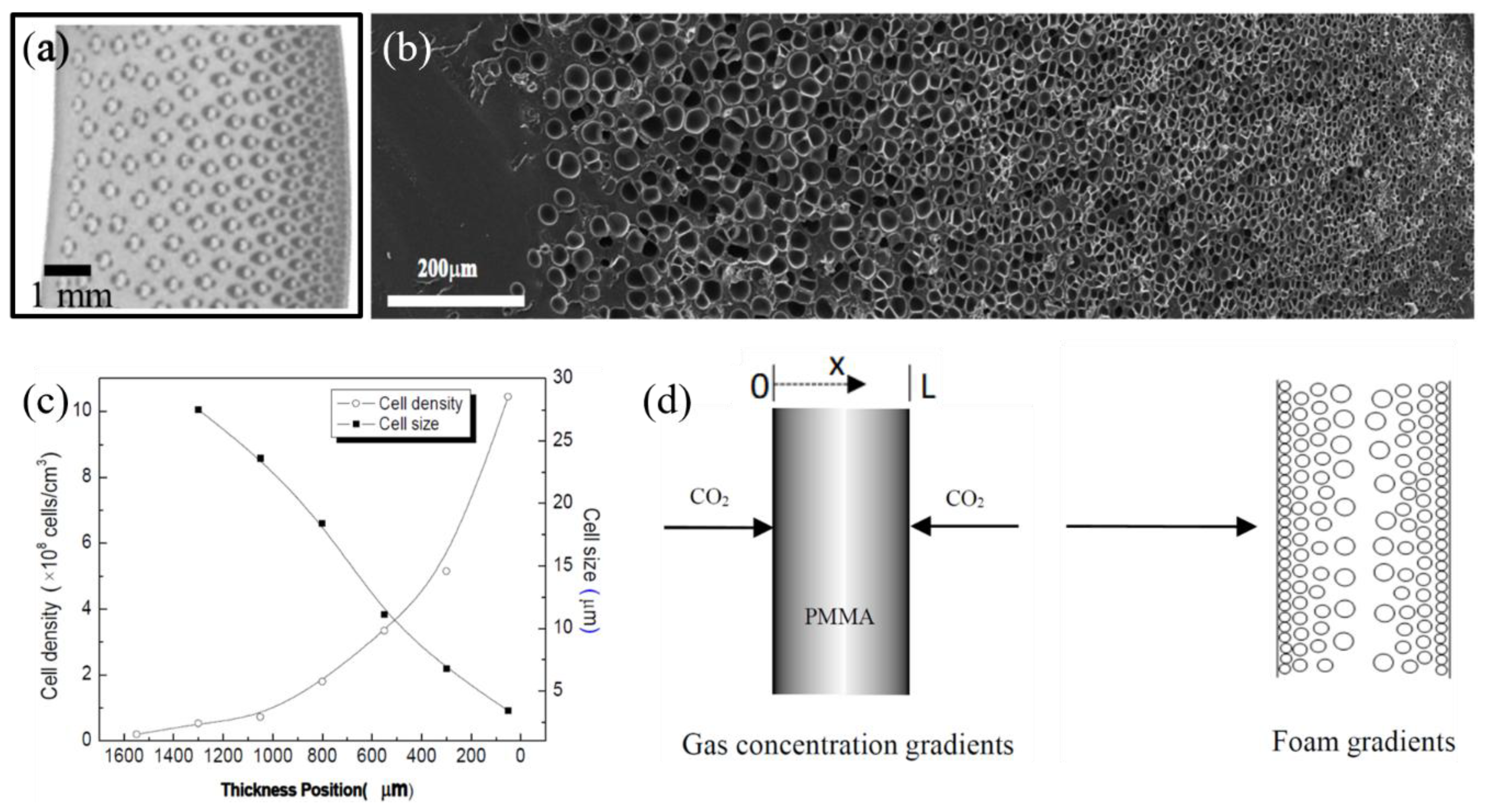 Materials 13 04060 g004 Materials 13 04060 g004