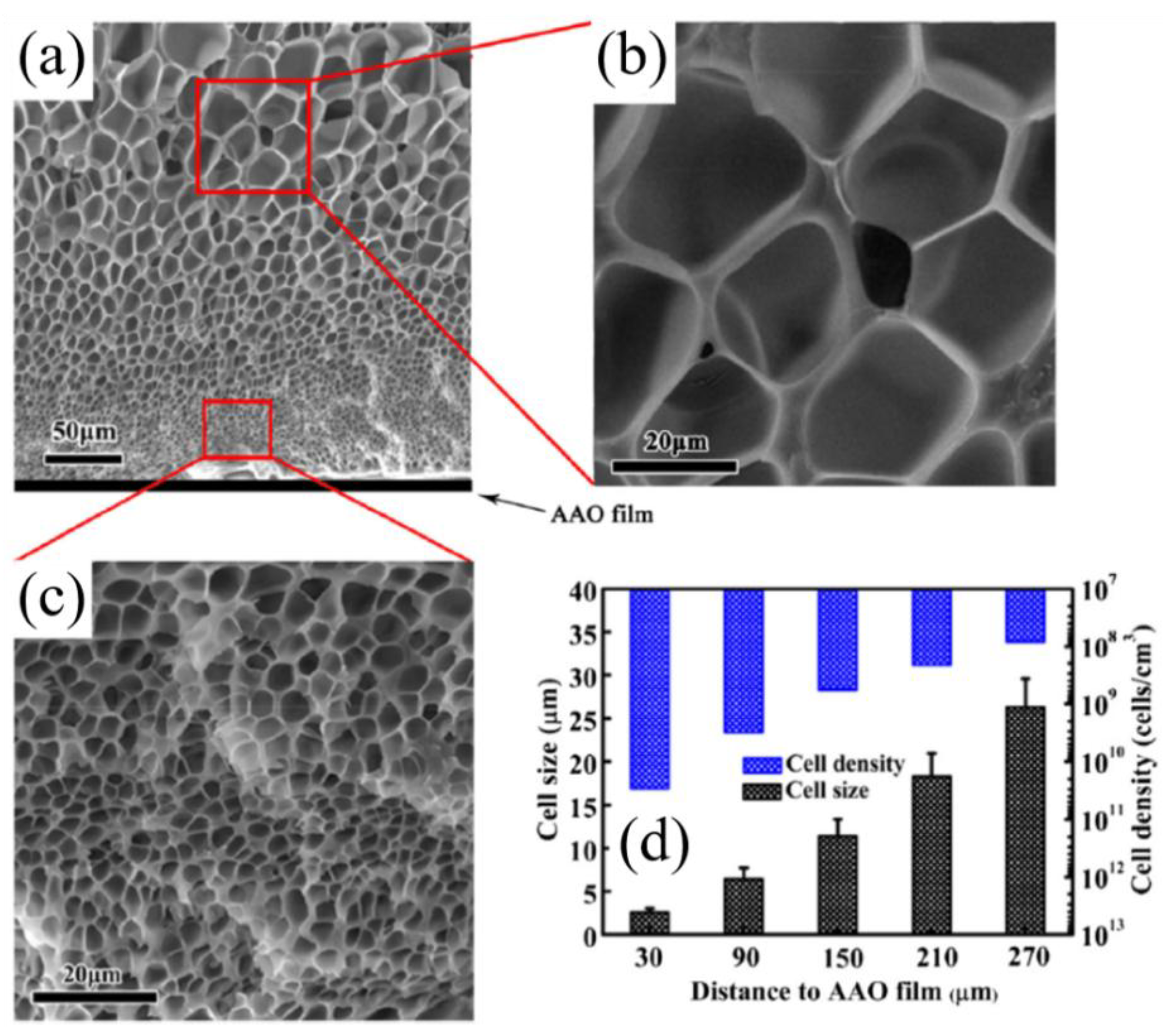 Materials 13 04060 g006 Materials 13 04060 g006